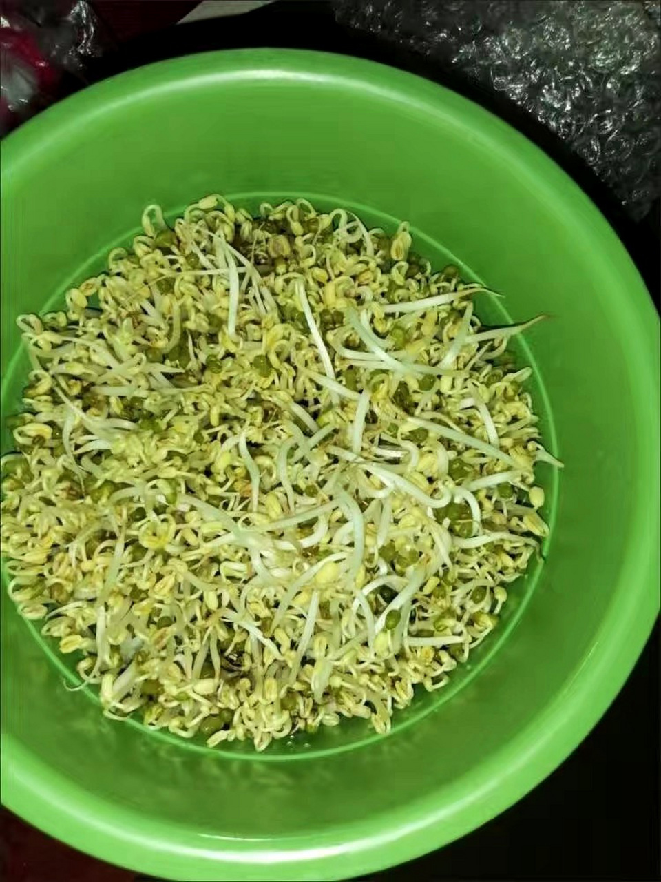 芽菜是超级食物的一种,这些发芽的种子会对你的健康起到有效的改善