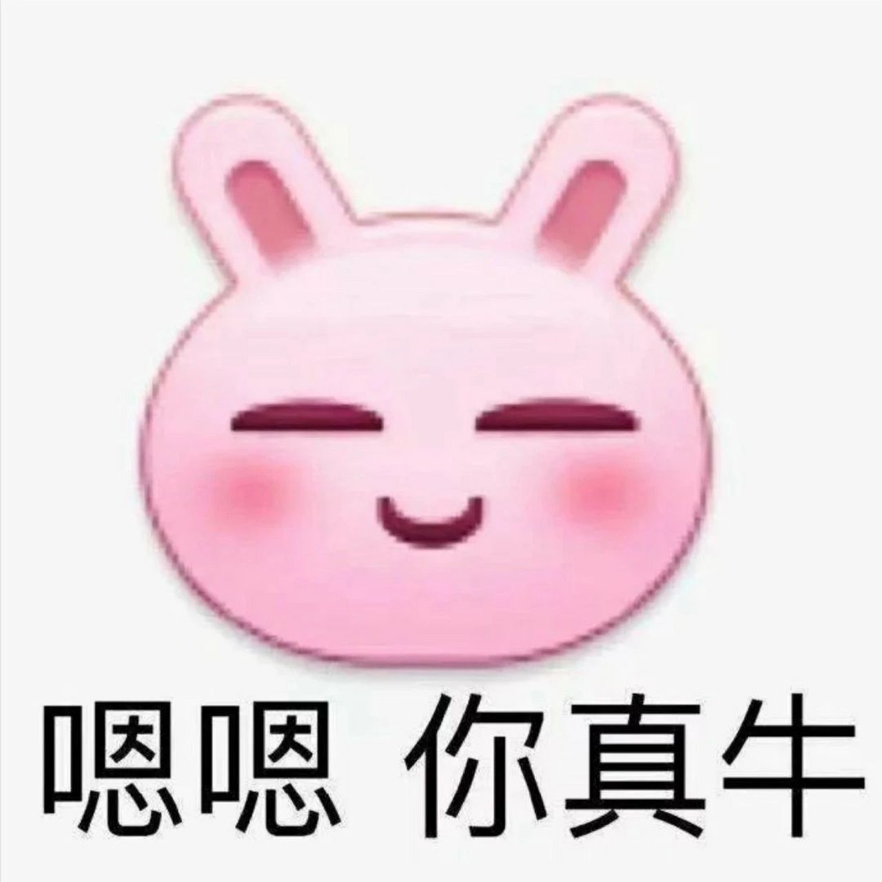 丰富一下你的表情包