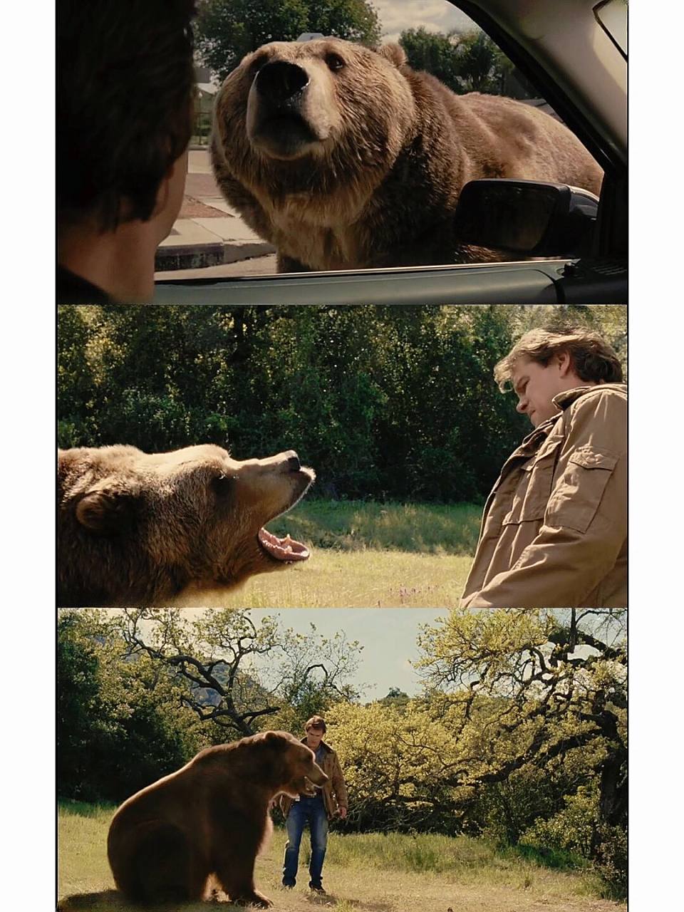 剧名:《我家买了动物园》 💕we bought a zoo 豆瓣:7