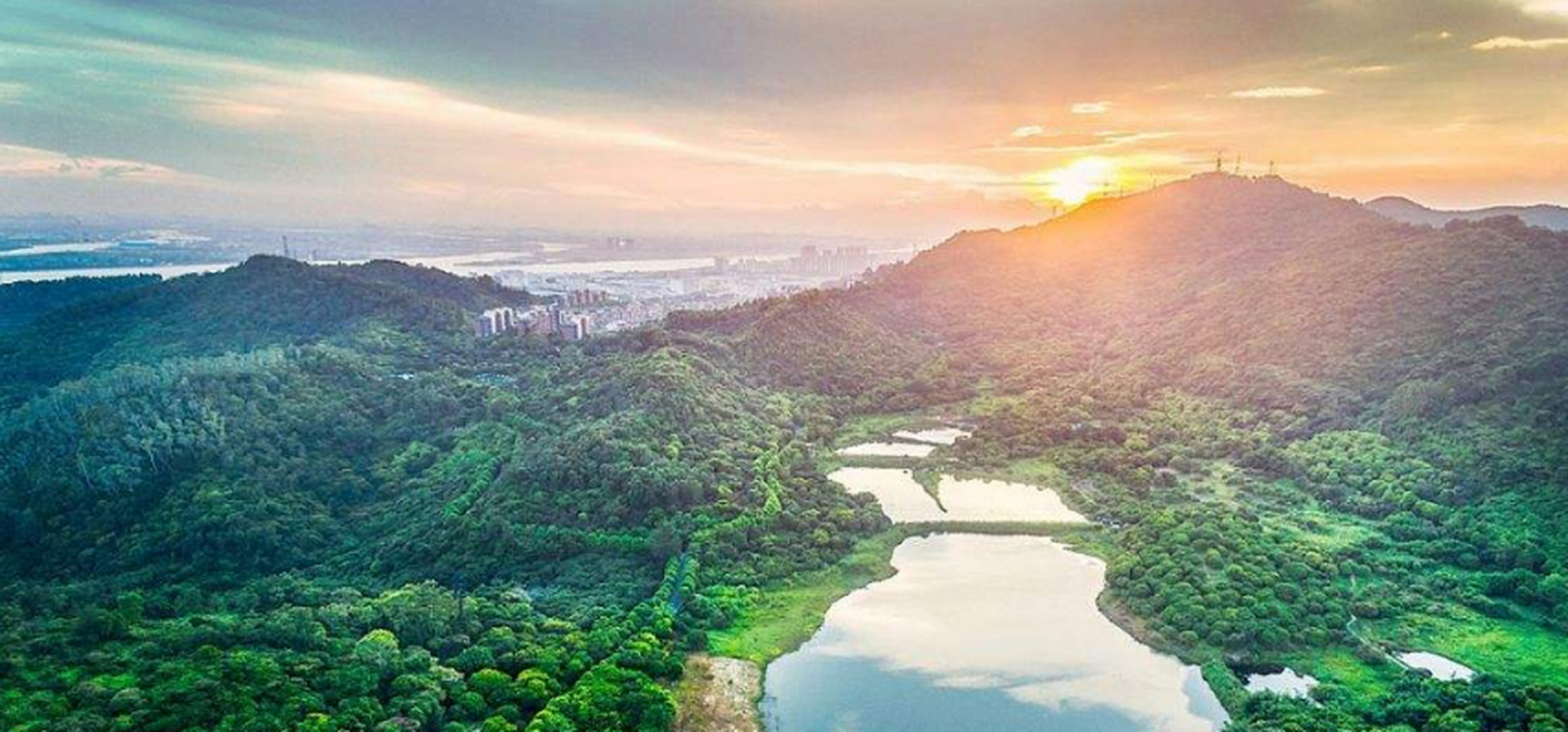 在广州南沙区的中心城区,有座黄山鲁森林公园,因为境内有座黄山与鲁山
