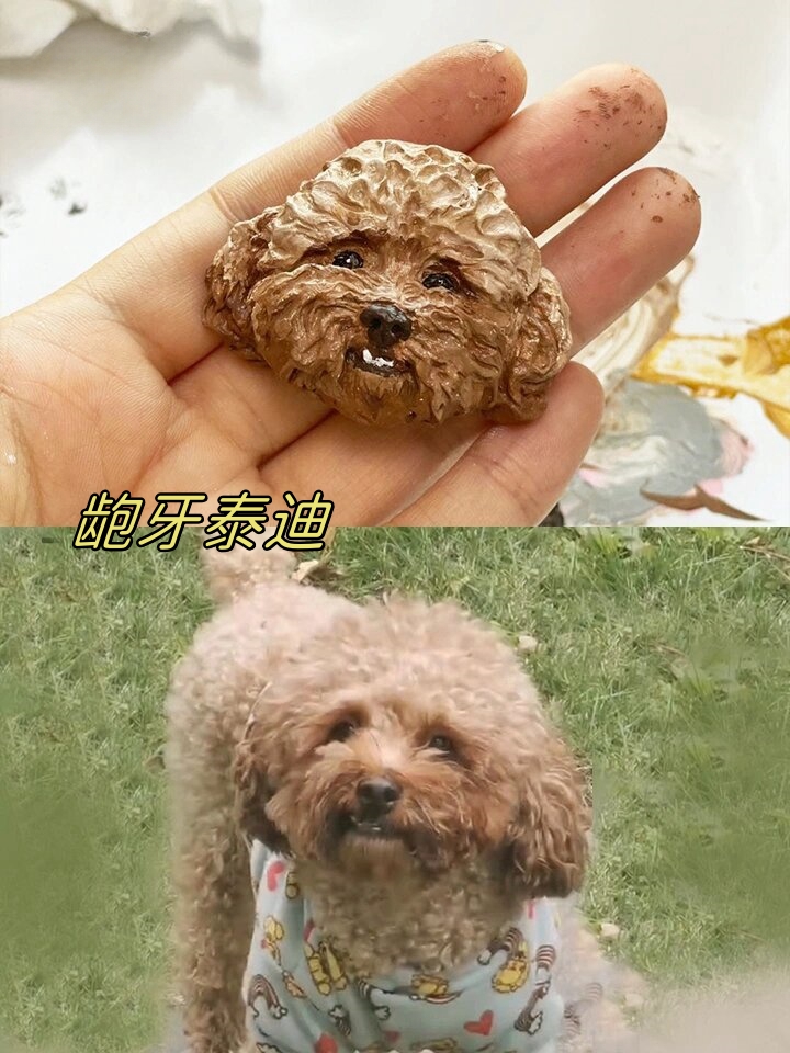 龅牙泰迪 展现的就是独特个性@问兰的萌物的动态