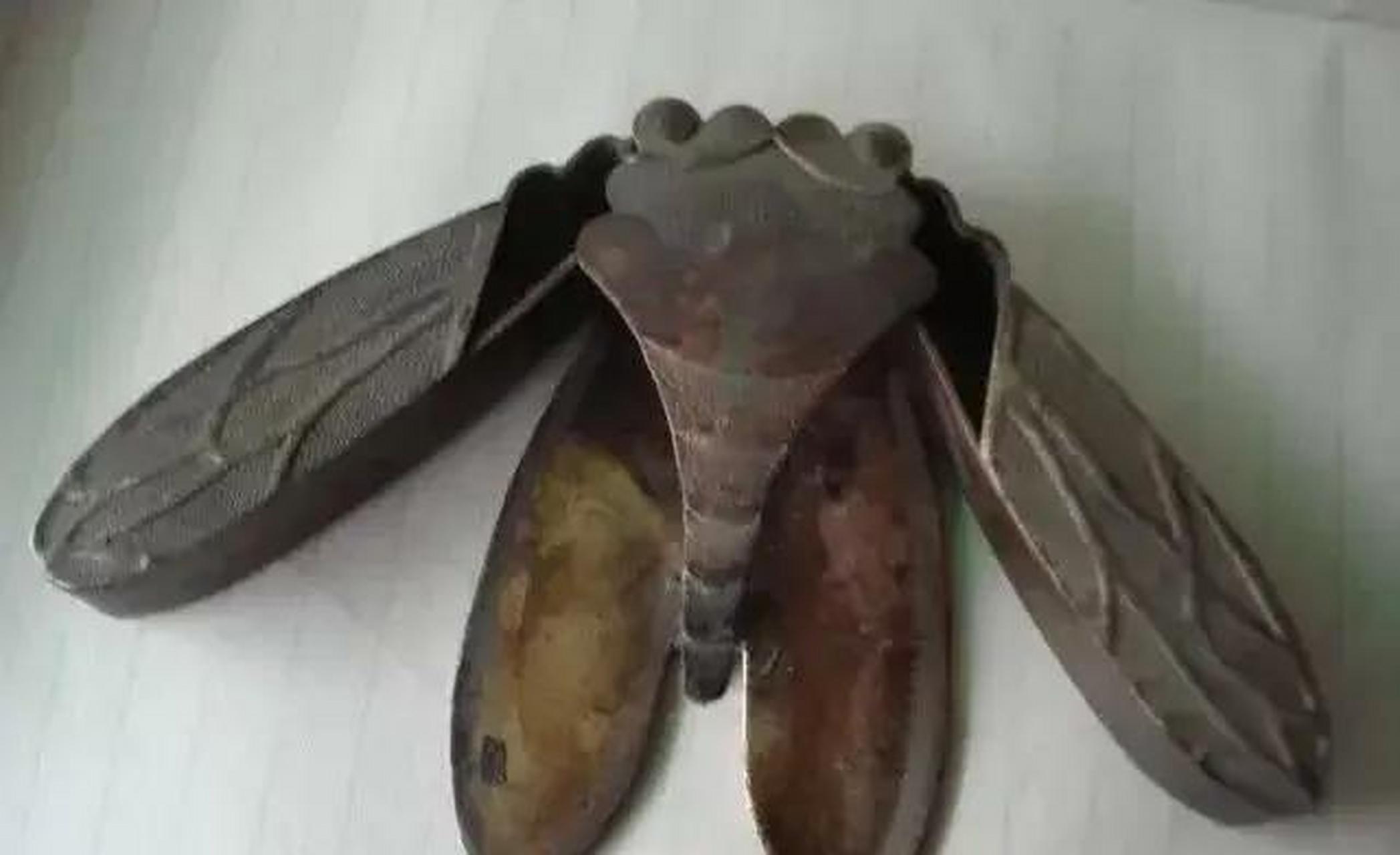 有人觉得这个东西叫铜蜻蜓,是民国时偷鸡贼常用的工具,偷鸡贼想偷鸡时