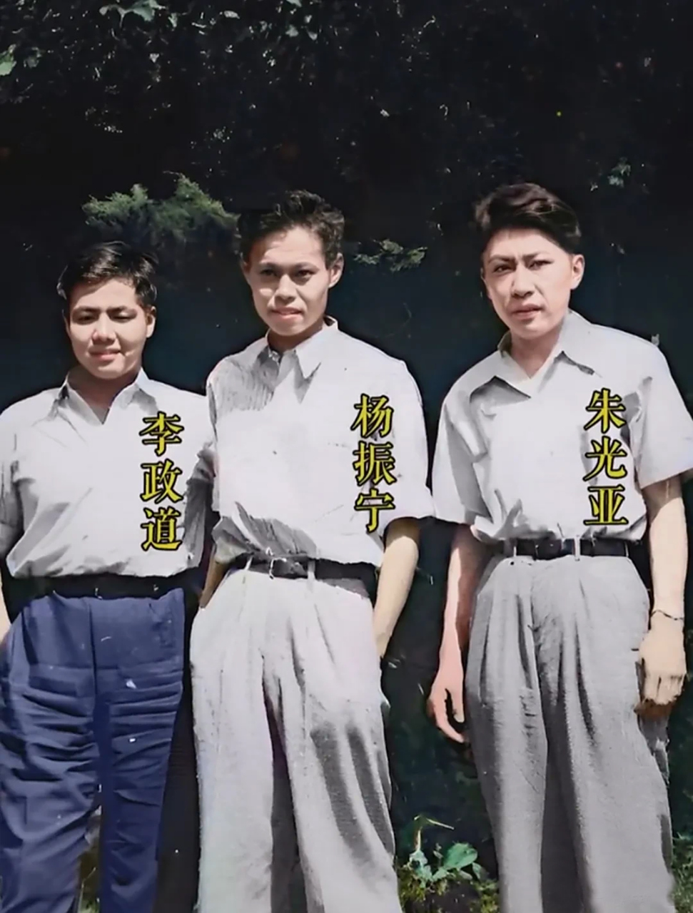 这3位伟大的科学家的年轻时的合影这难得一见.