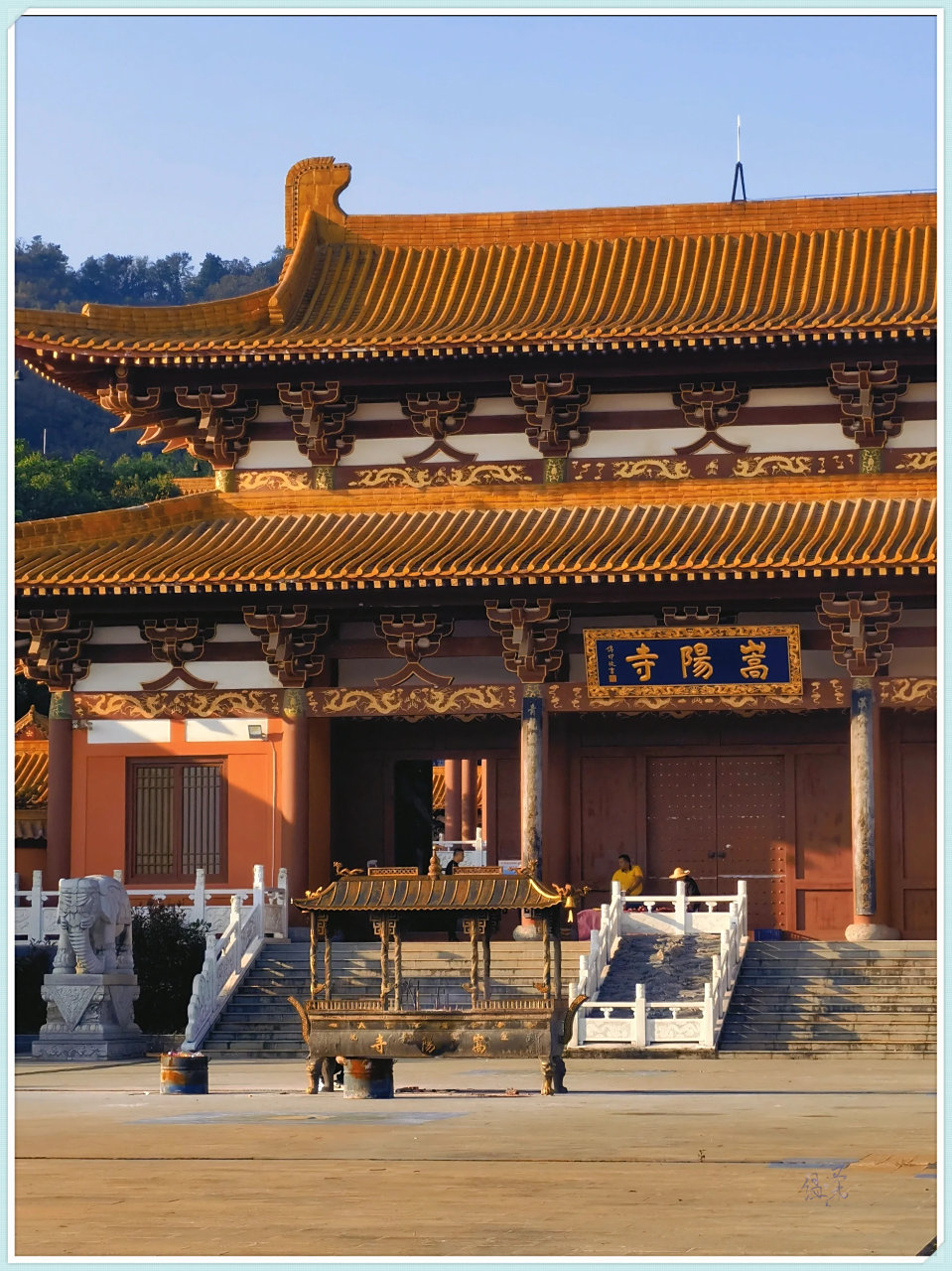 金顶,黄墙,百年银杏,武汉宝通寺有了新竞争者!