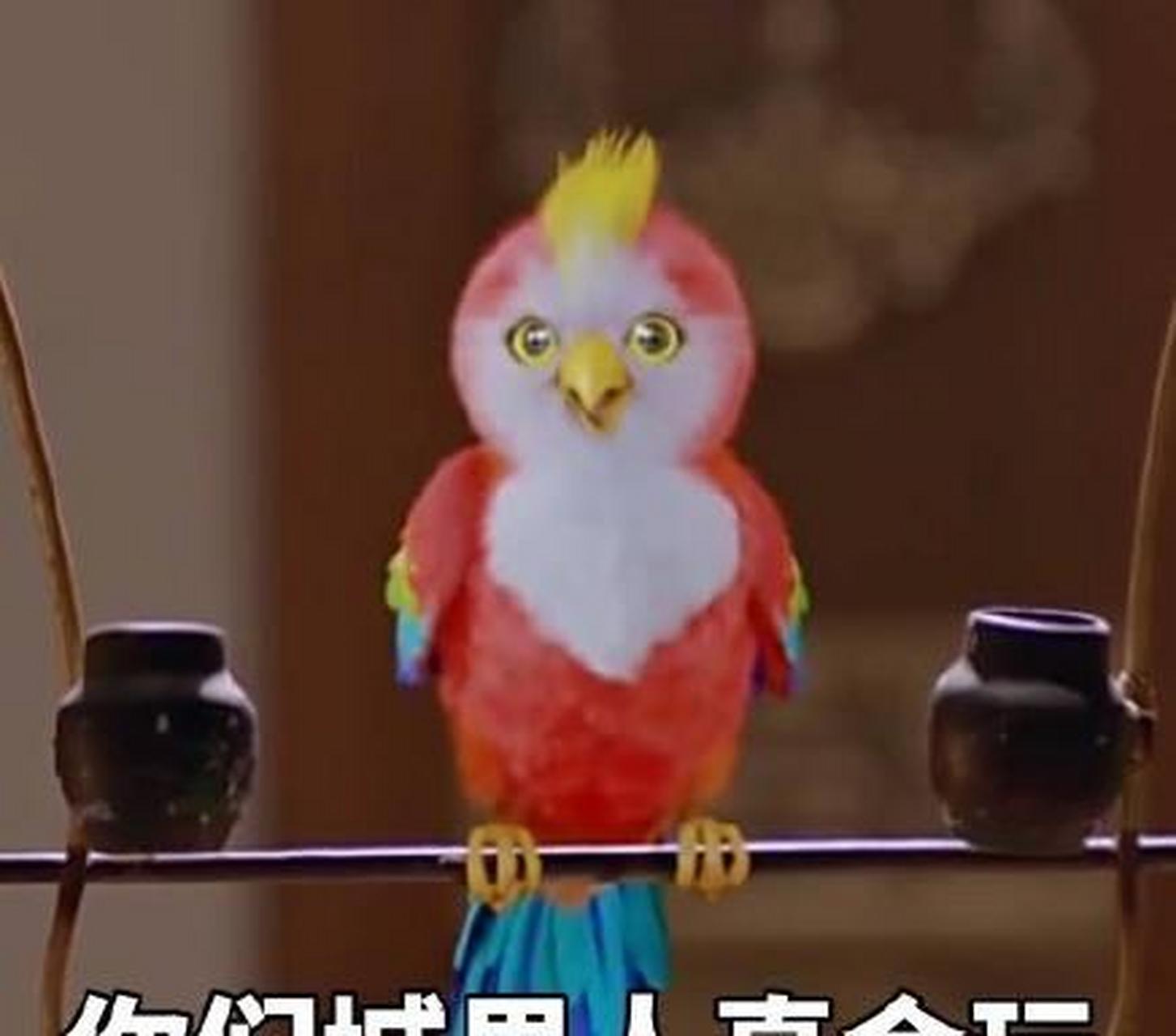 周迅房车豪华如家,赵丽颖的房车有亮点,杨洋最意外最服气赵本山