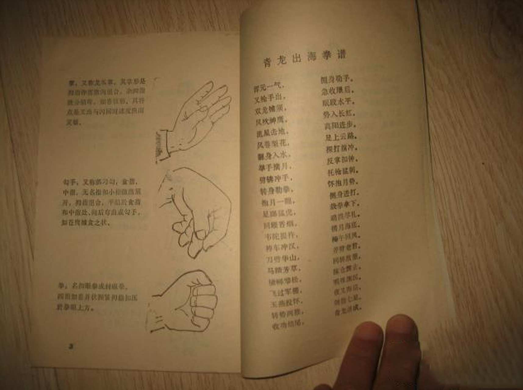 青龙出海拳(也就是我们常说的罗汉拳)乃是少林寺陆合门中的传统拳术之