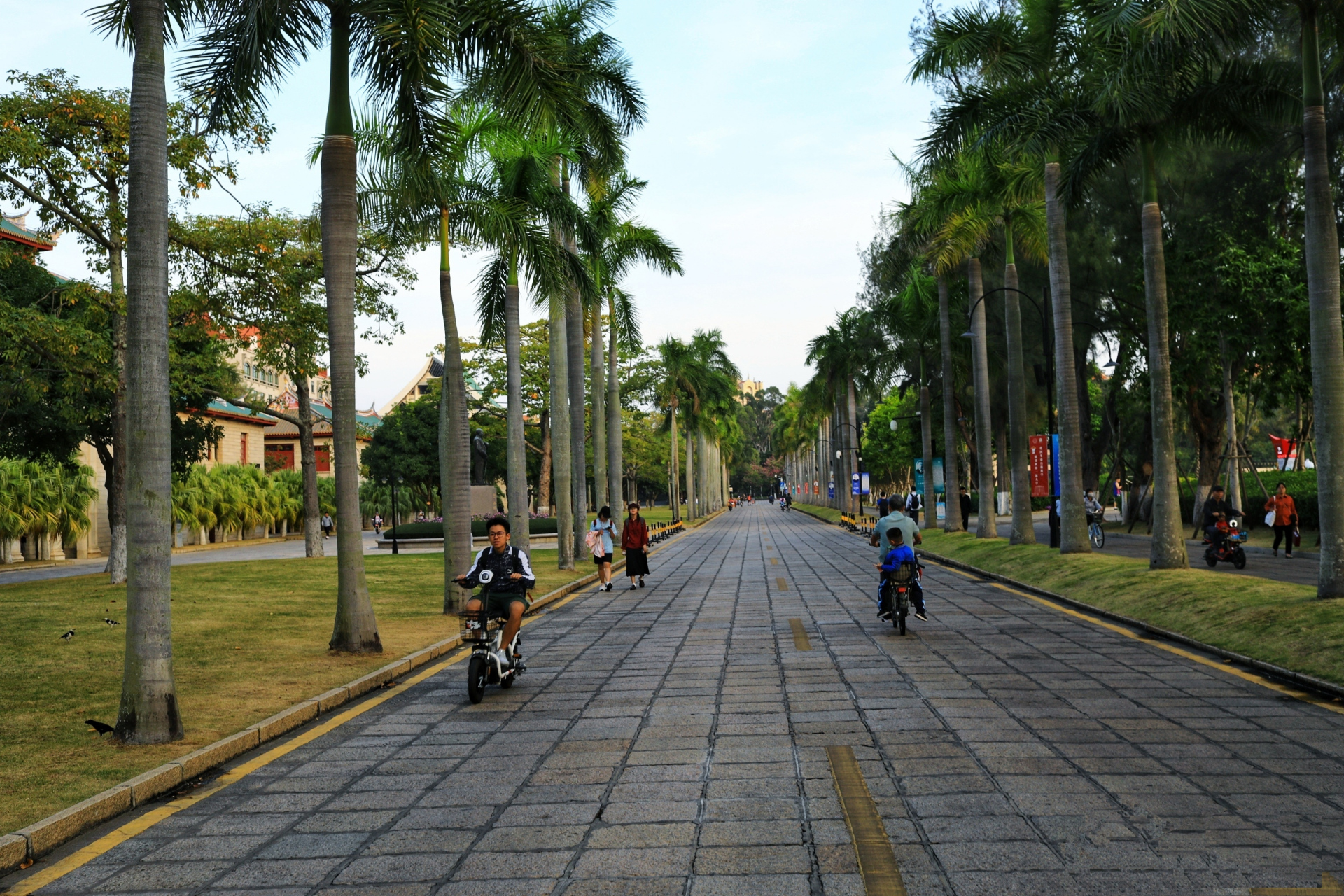 我的大学# 生活的繁琐,以至于我们在不该负重的年纪承担着疼痛.