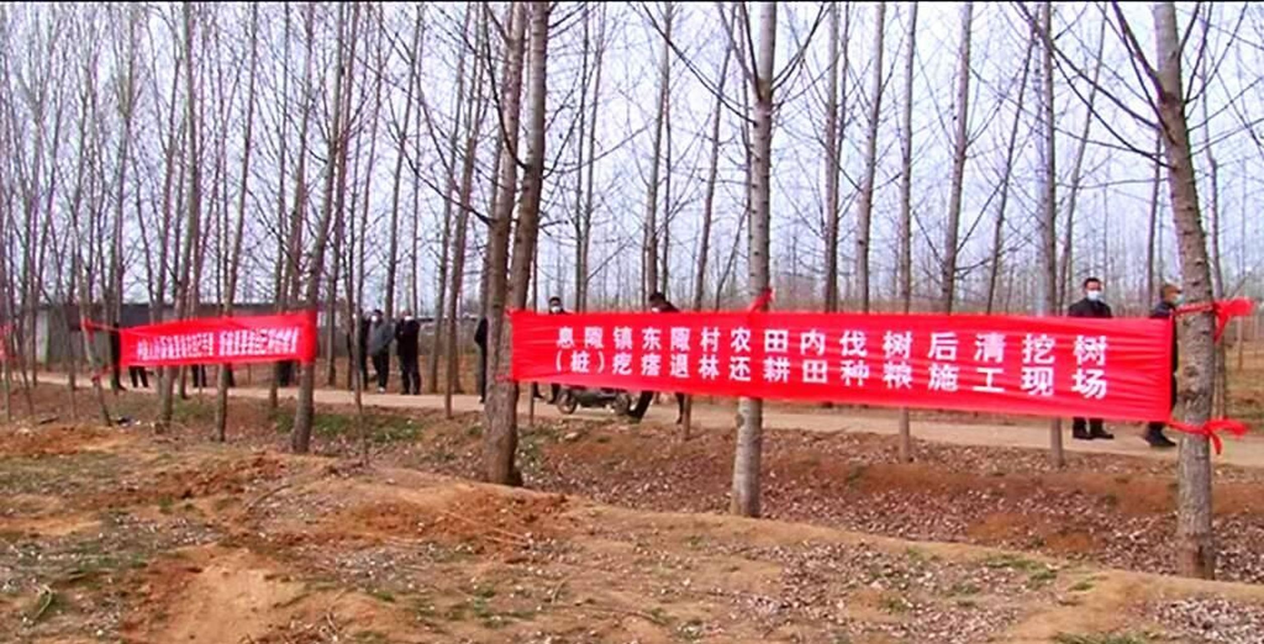 到底是要"退耕还林"还是要"退林还耕"?