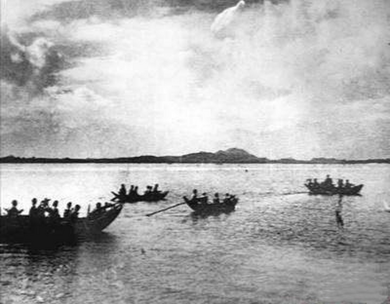 孙云秀是河南洛阳人,解放军第28军第246团团长.