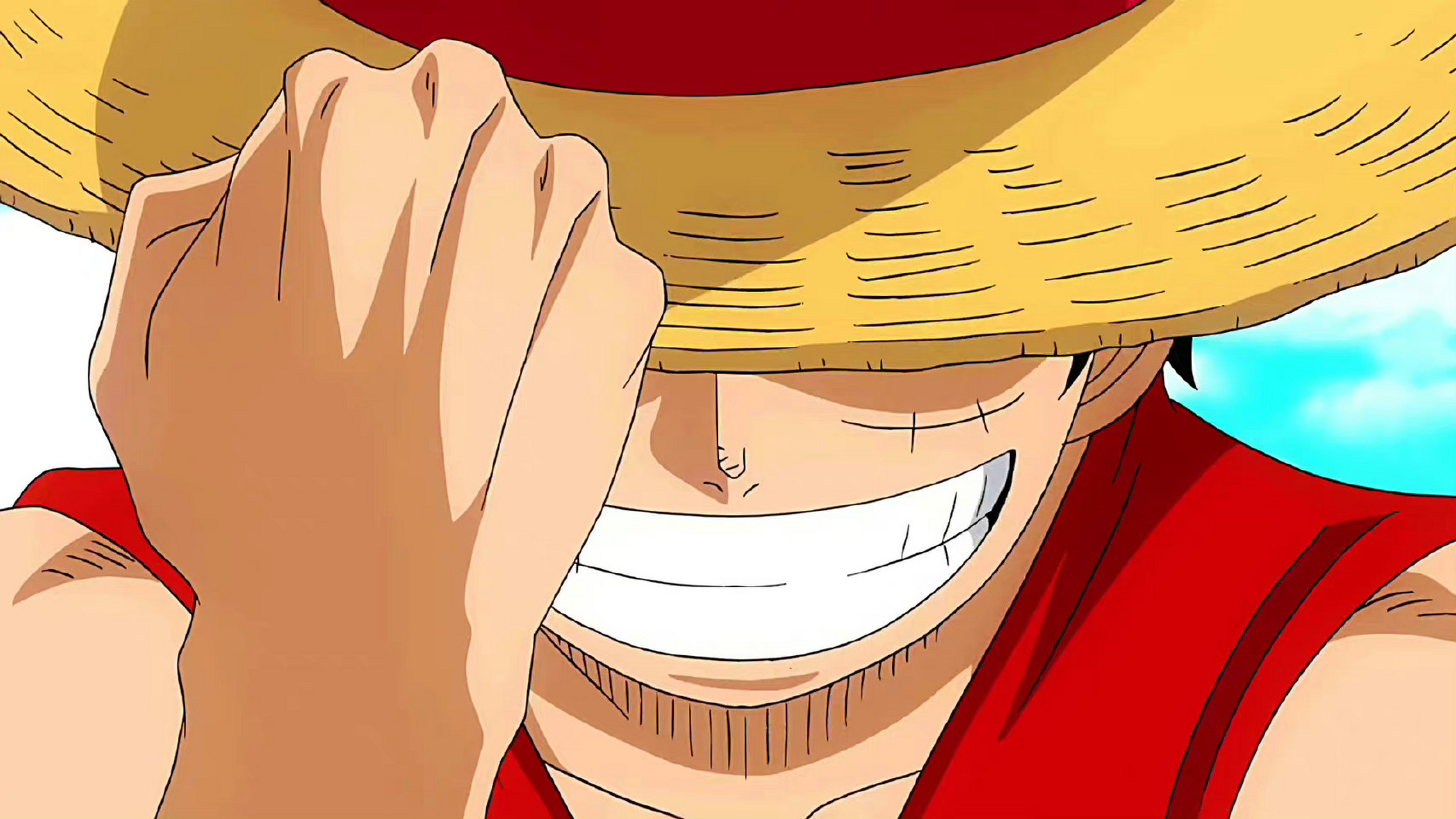 用微笑去感染世界,路飞笑的好灿烂