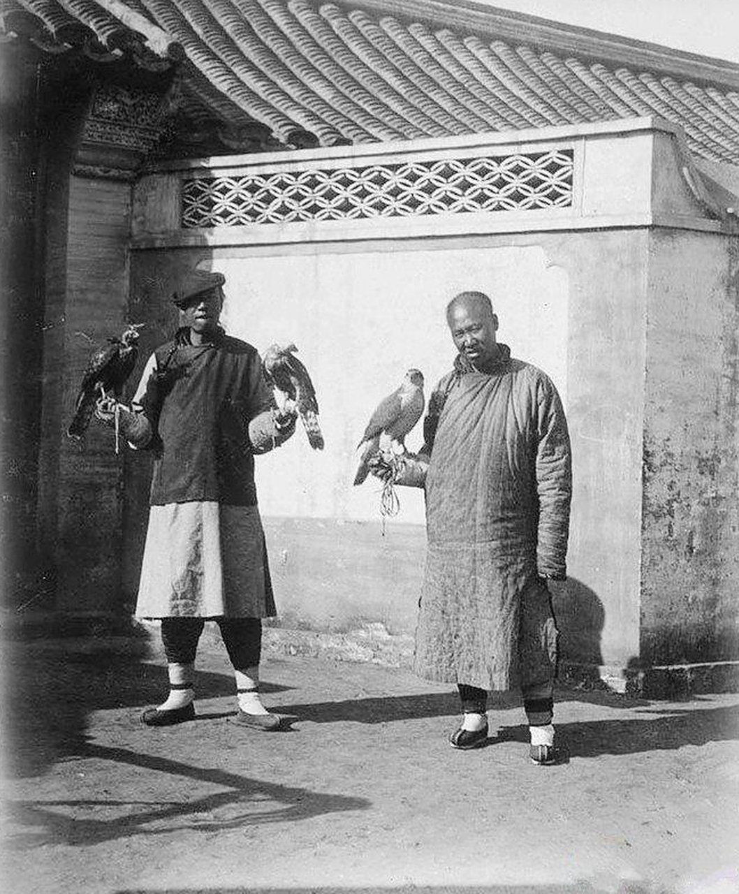 这才是晚清八旗子弟,玩鹰吸鸦片排场十足,丝毫不关心大清将灭亡 晚清