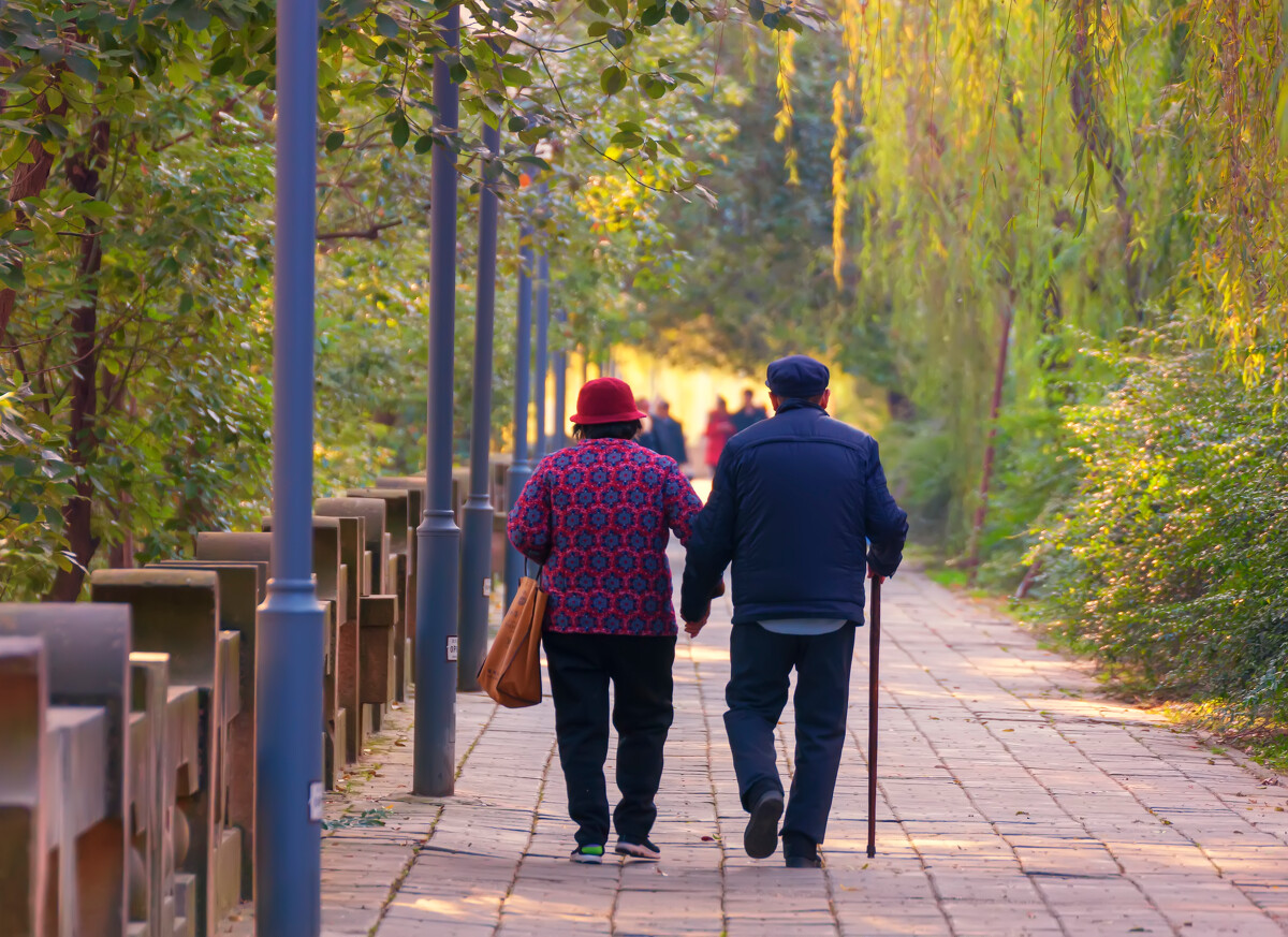 老夫妻背影图片高清图片