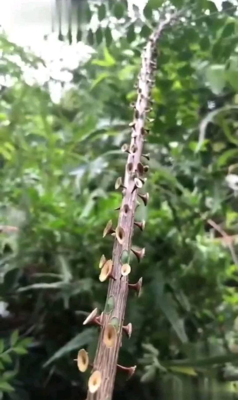 多么强烈的报复心理啊![左捂脸]