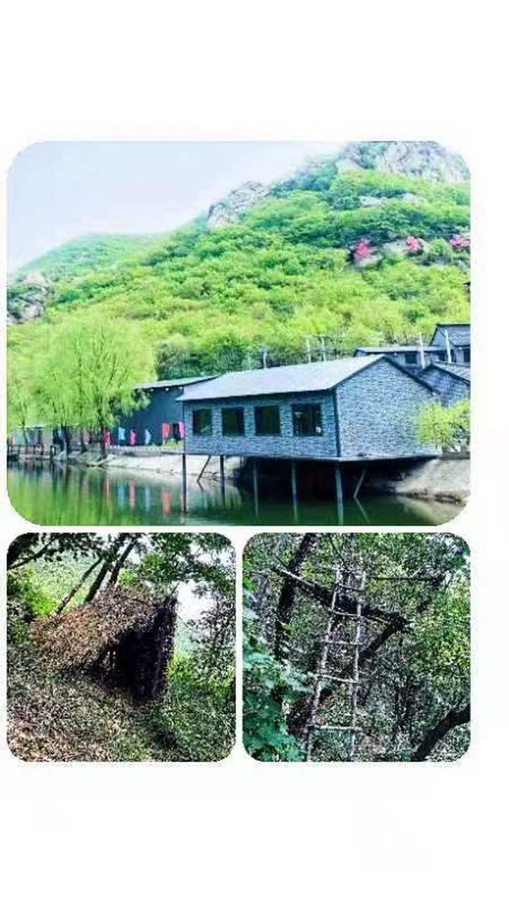 美好辽宁欢迎您# 开原大美松山欢迎您#网红打卡地辽宁杠杠滴