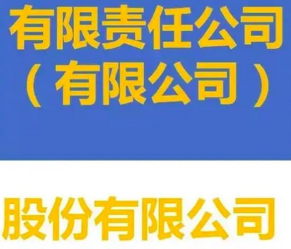 有限责任公司与股份有限公司股东人数