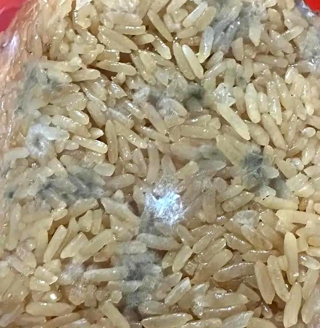 我妈把米都发霉了,还要热给我吃,我该怎么办?