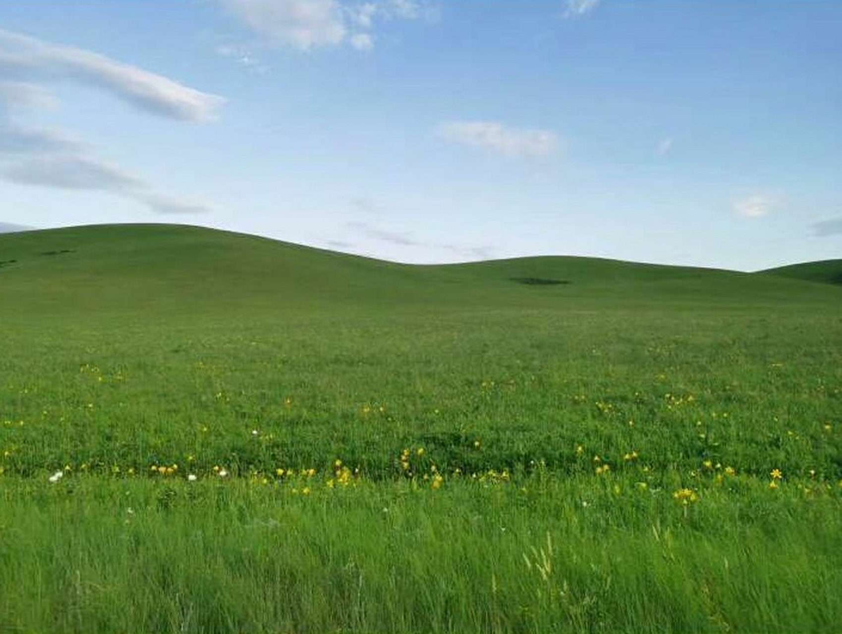 一道本东京热引爆全网争议，官方深夜紧急回应引发关注，网友热议持续发酵热度不减，新动态曝光引发新一轮讨论浪潮