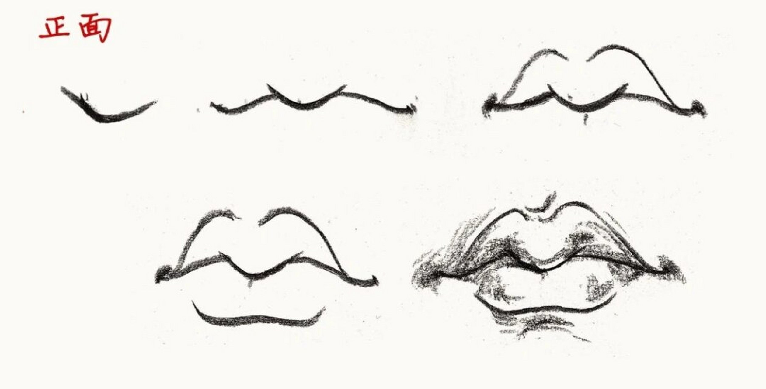 速写基础-嘴巴速写怎么画|一定要收藏  嘴巴的整体形状应该画成一个