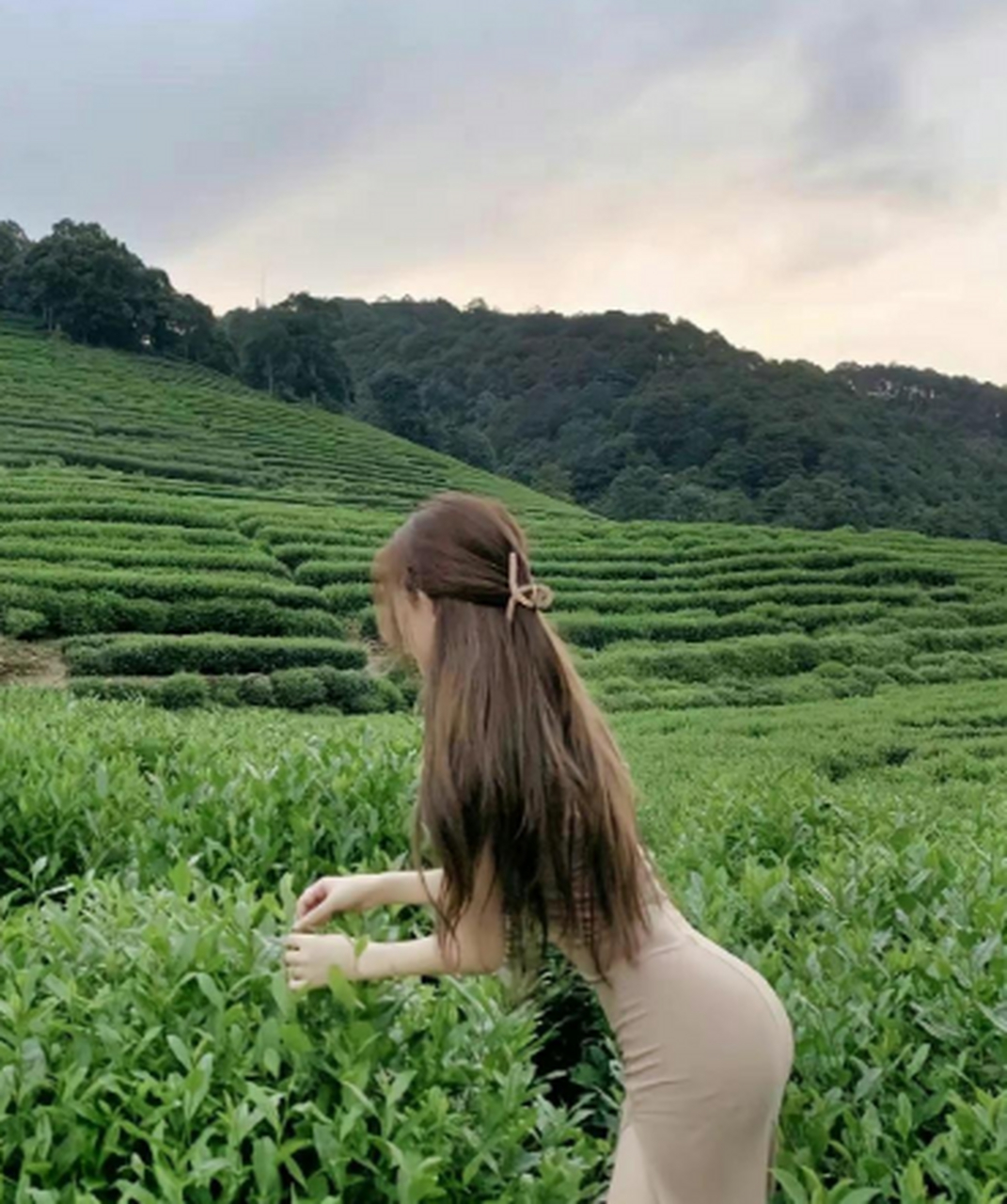 卖茶女如果都是这样的话,那茶叶销量一定很好