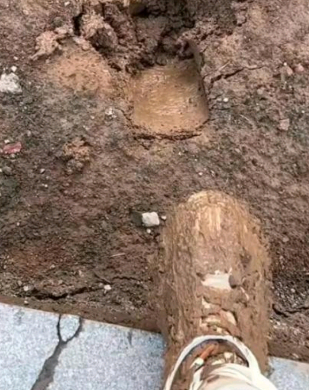 好奇心害死猫