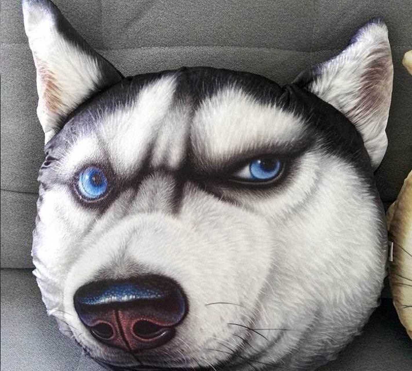 上赵丽颖送了林更新辣条,林更新送了赵丽颖狗头抱枕~画风变得猝不及防