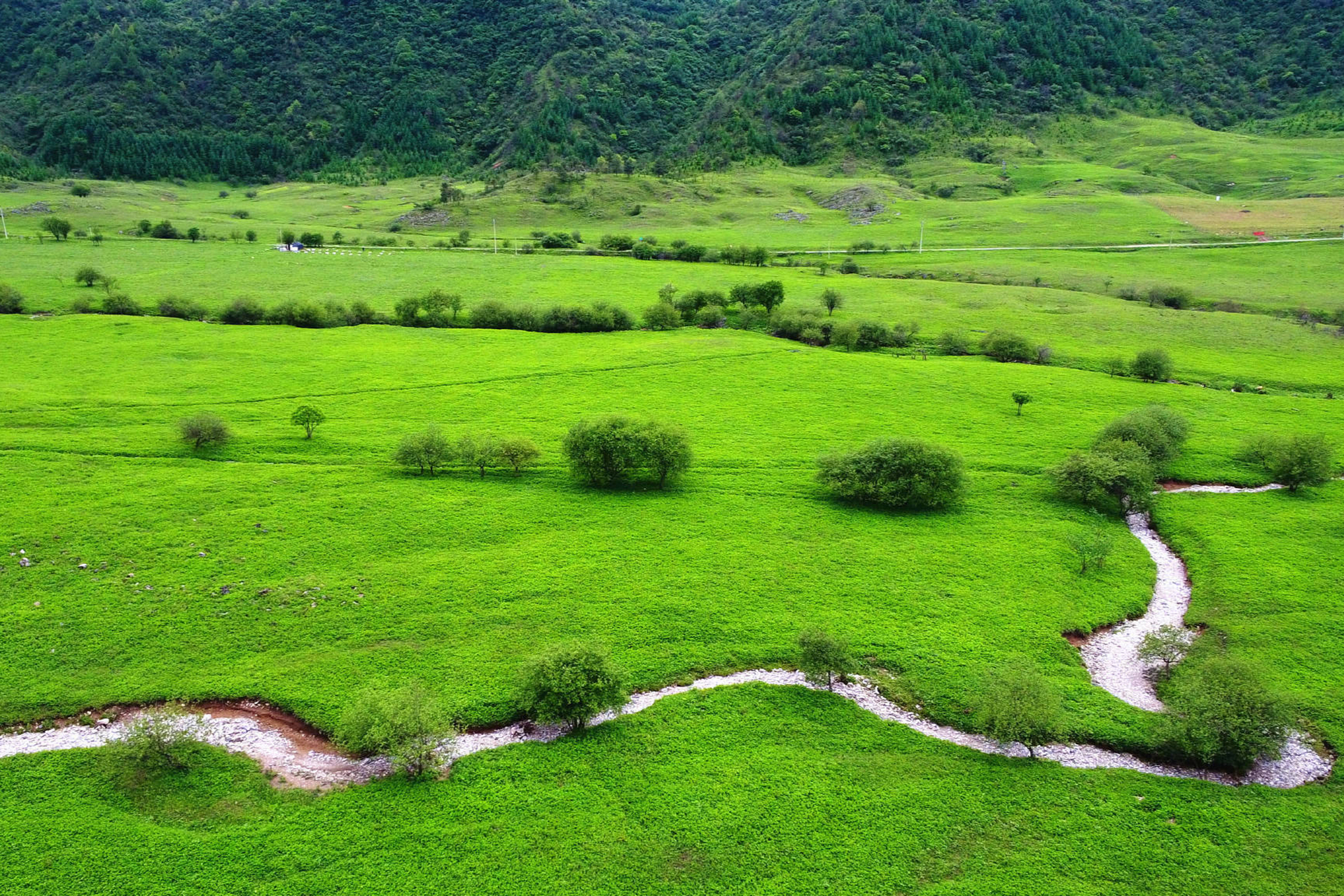 红池坝,这里真的是国家森林公园,4a级景区,拥有36万亩的森林草场,海拔