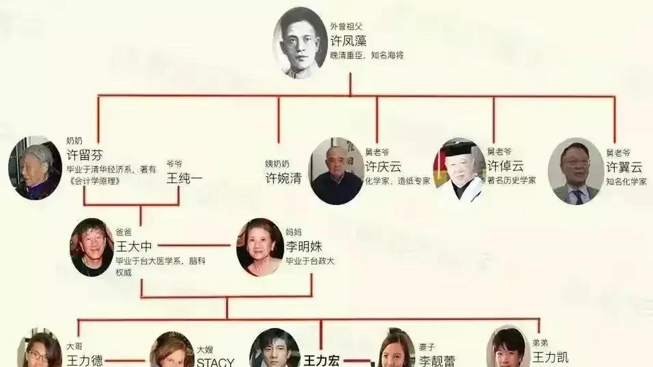 王力宏家谱图图片