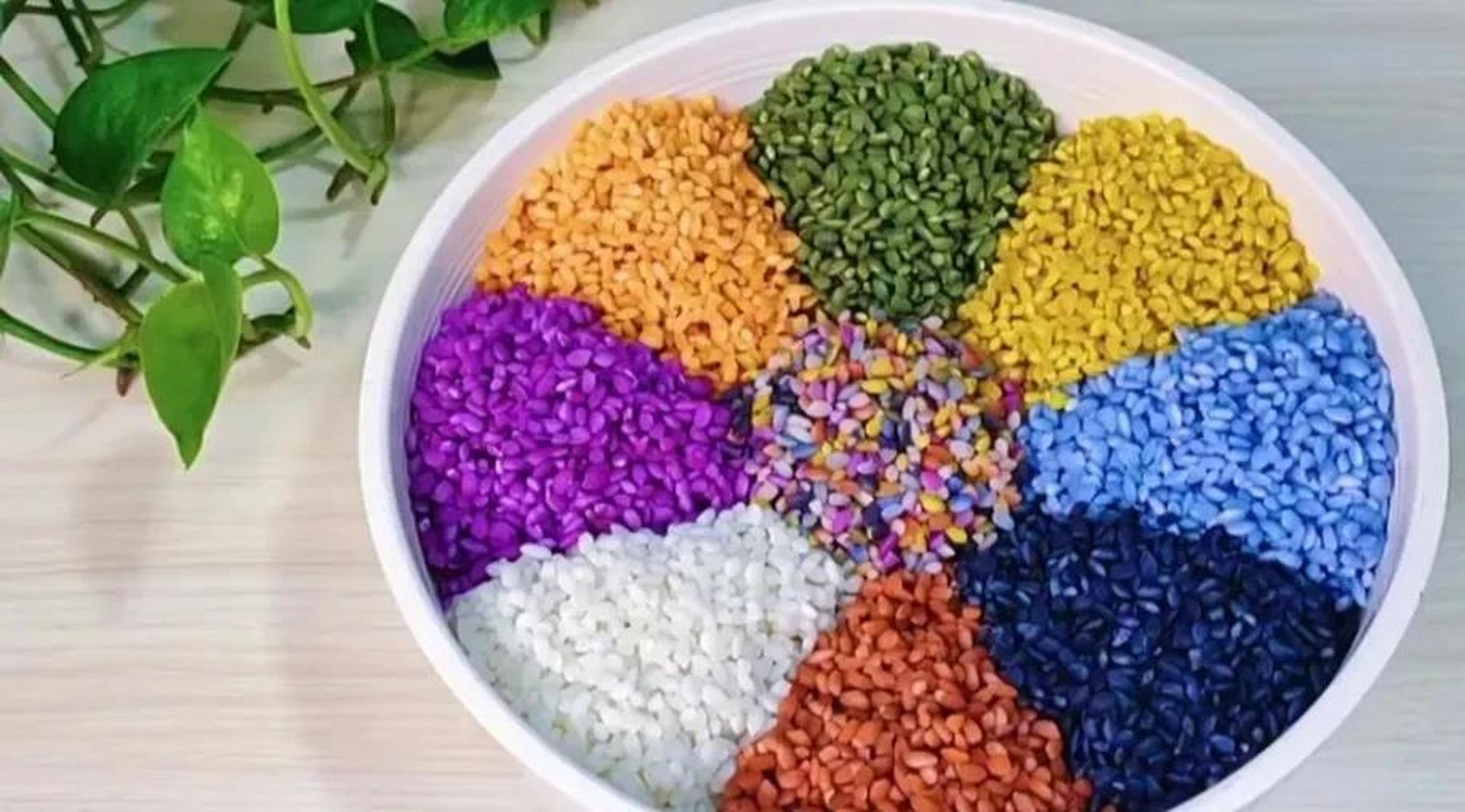 广西五色糯米饭 红蓝草做红色 黄花草做黄色 紫兰草做紫色 蝶豆花做