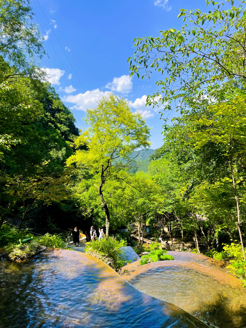 而洛阳王府竹海景区也是一个非常不错的旅游目的地