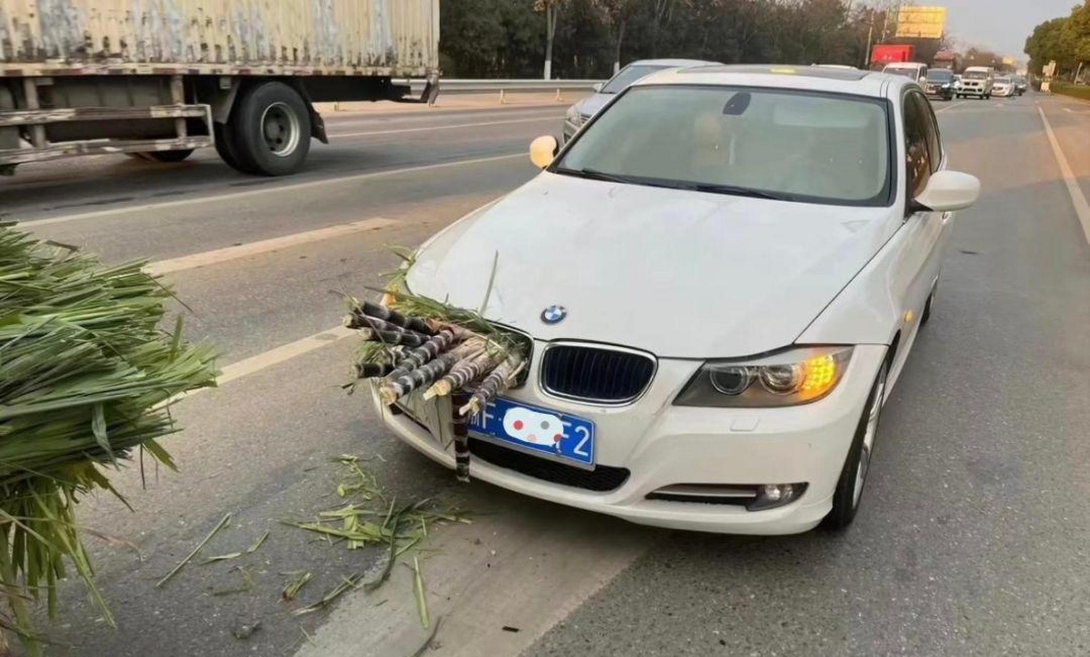 这甘蔗不用打广告了.质量有保证 #趣图搞笑