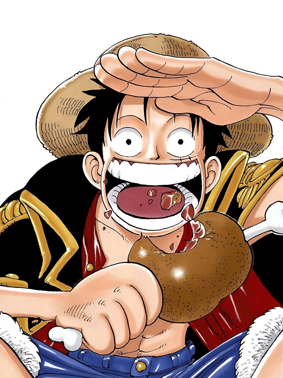 1999 - 2021 鸡腿肉眼可见的多了亿点细节  #海贼王