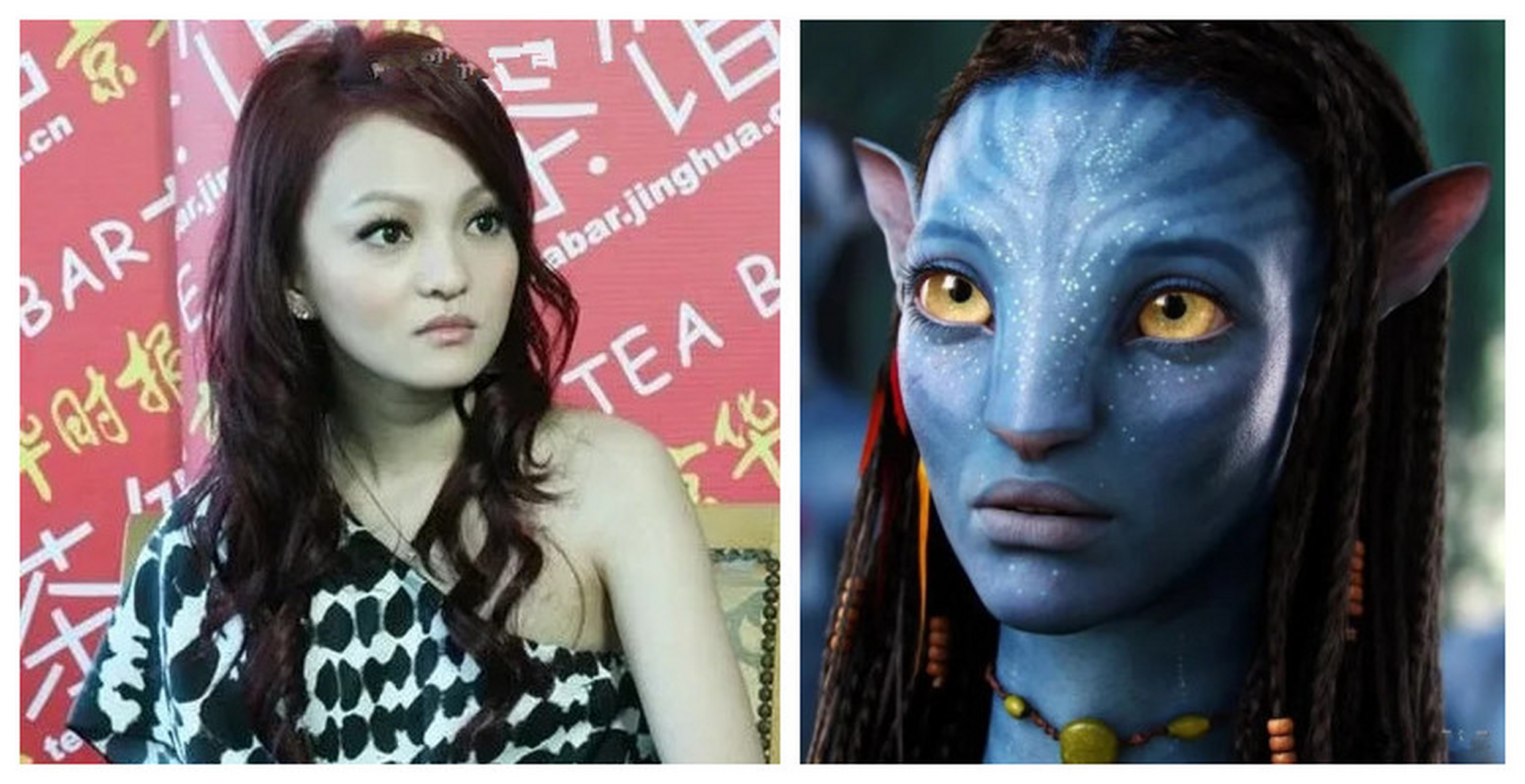 偶然发现一张张韶涵的图片,发现撞脸阿凡达女主角,大家有没有觉得这个
