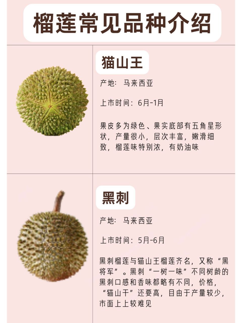 常见榴莲的种类,口感和特征大盘点