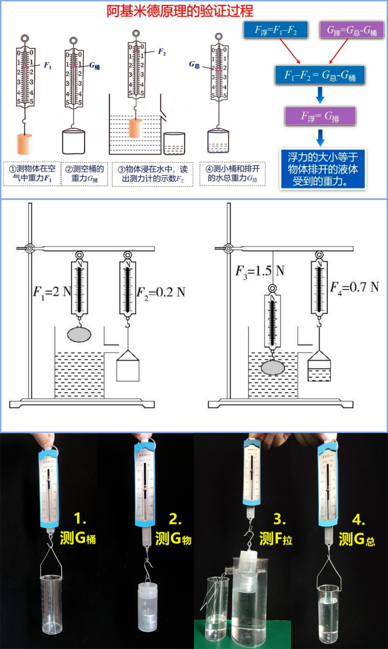 初二物理:一定要透彻理解阿基米德原理,各种形式的实验,原理都是一样