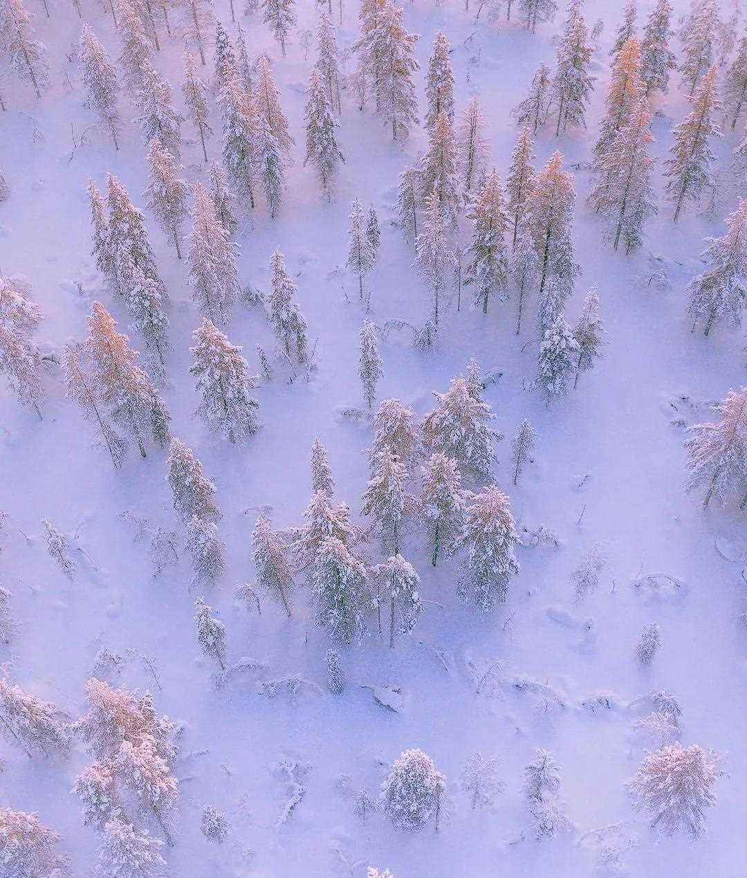拉普兰德地区号称欧洲最后一块原始保留区