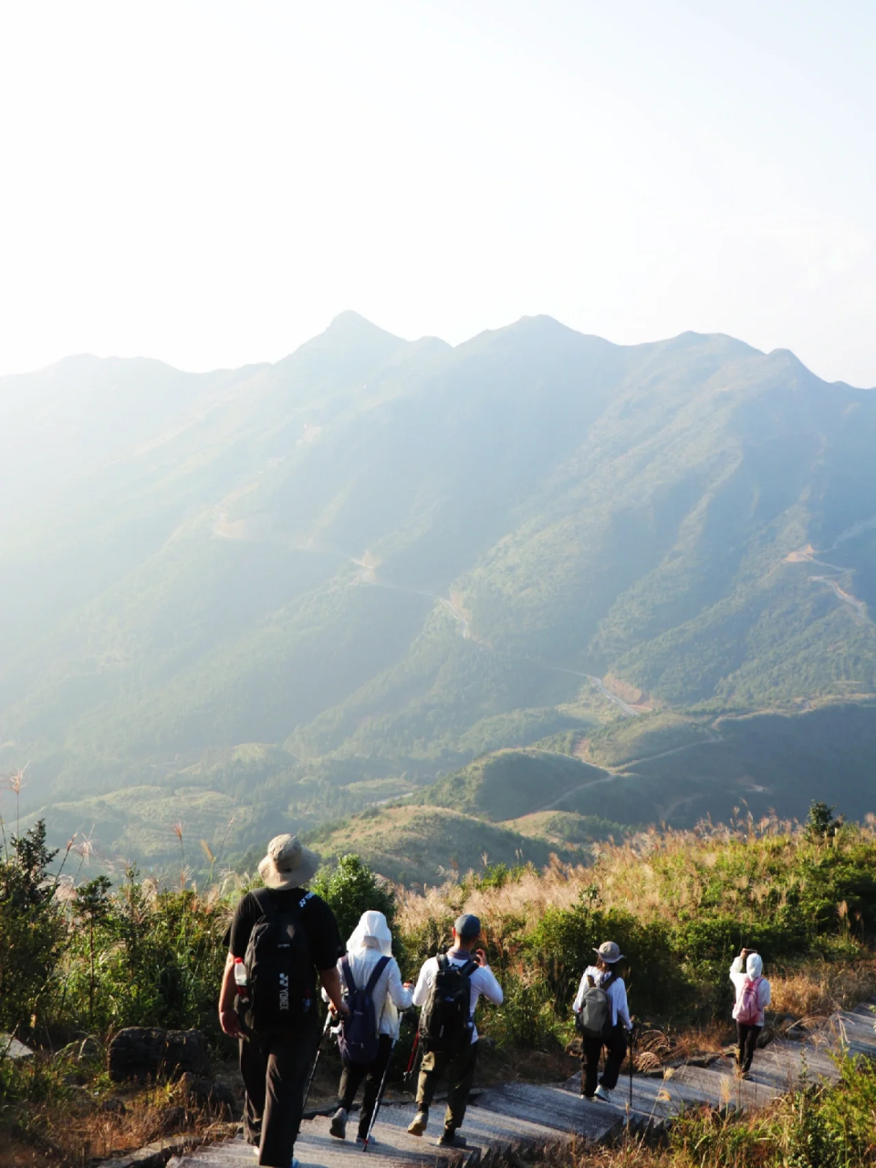 福建闽南第一高峰大芹山  登高望远 98大芹山是闽南第16615高峰