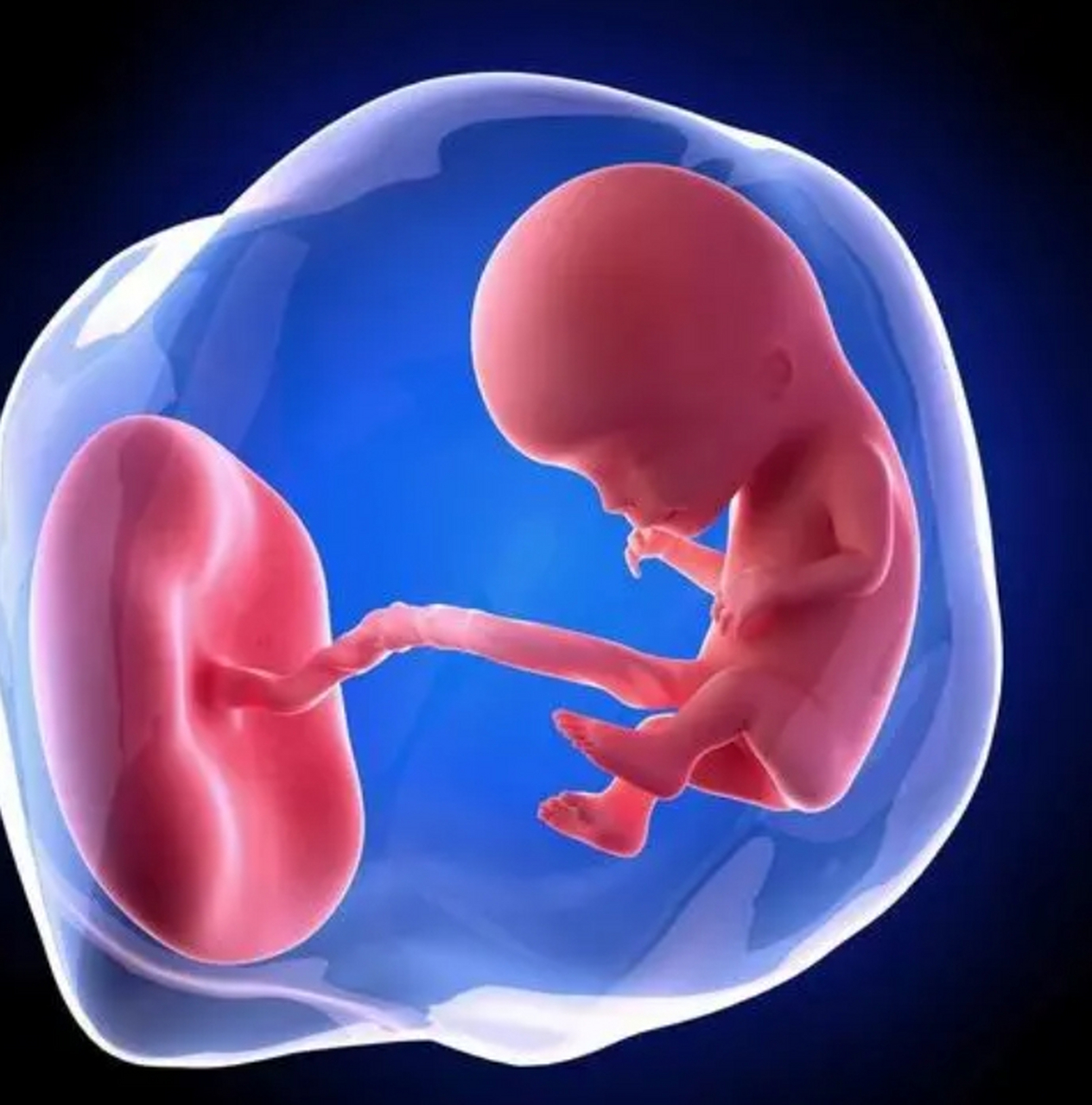 胎儿在子宫怎么呼吸# 在胎儿时期,呼吸是通过血液从胎盘获取氧气来