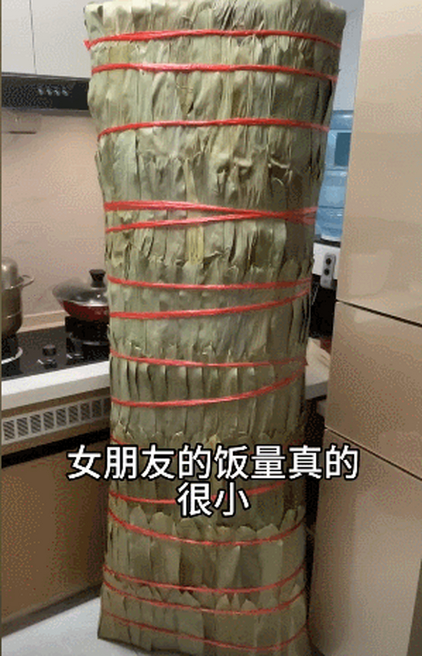 哥们儿,你确定这是"粽子"吗?#搞笑