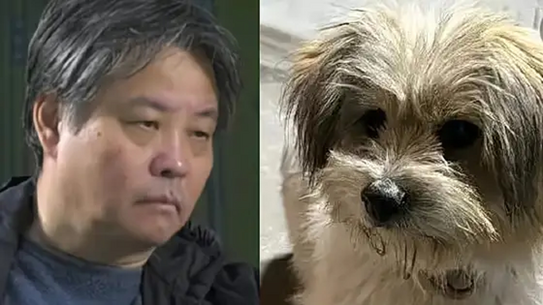 余华认为这个昵称非常好,十分可爱,表示自己现在的发