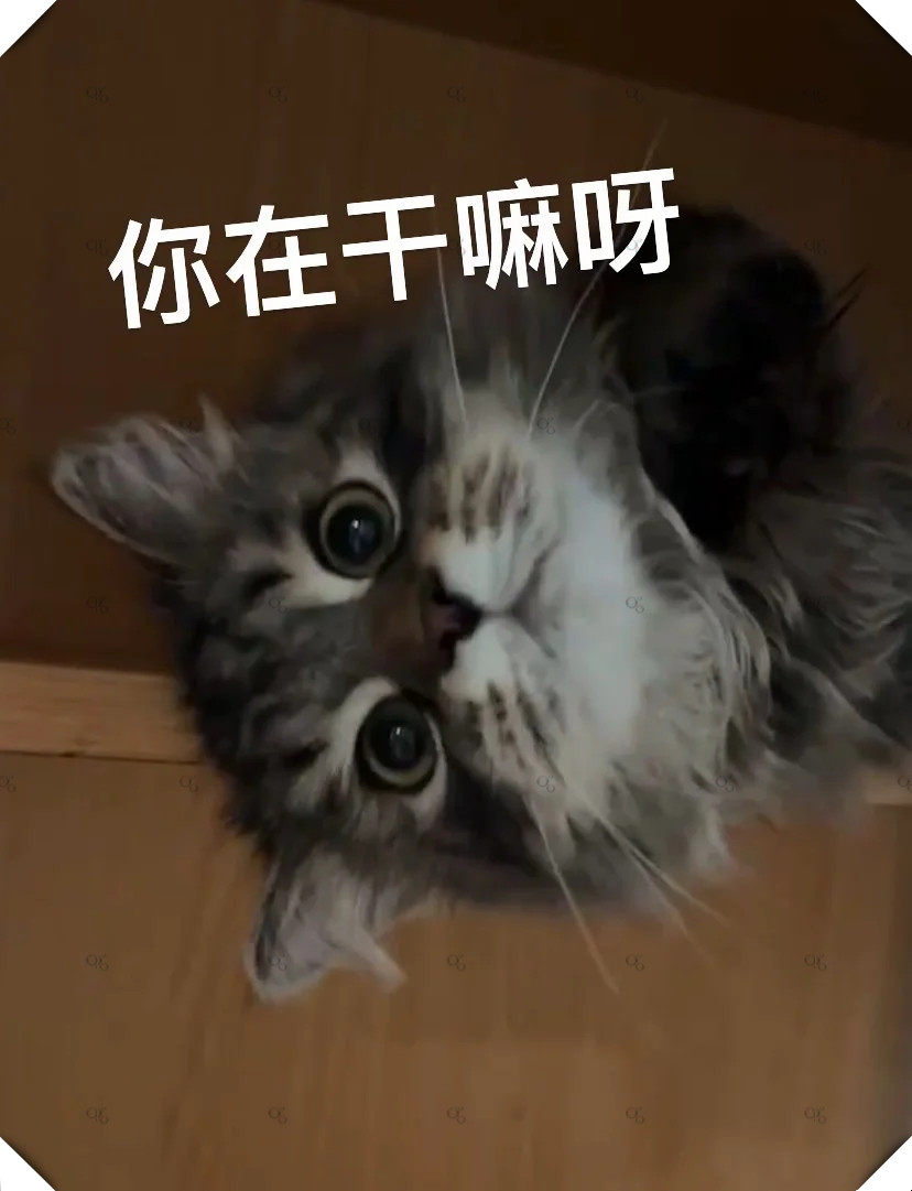 小可爱有个特别的三连问要送给ee叔叔们:你有想我吗?