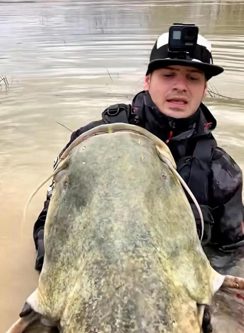 这鲶鱼目测得多少斤重?[三哈] #趣图搞笑