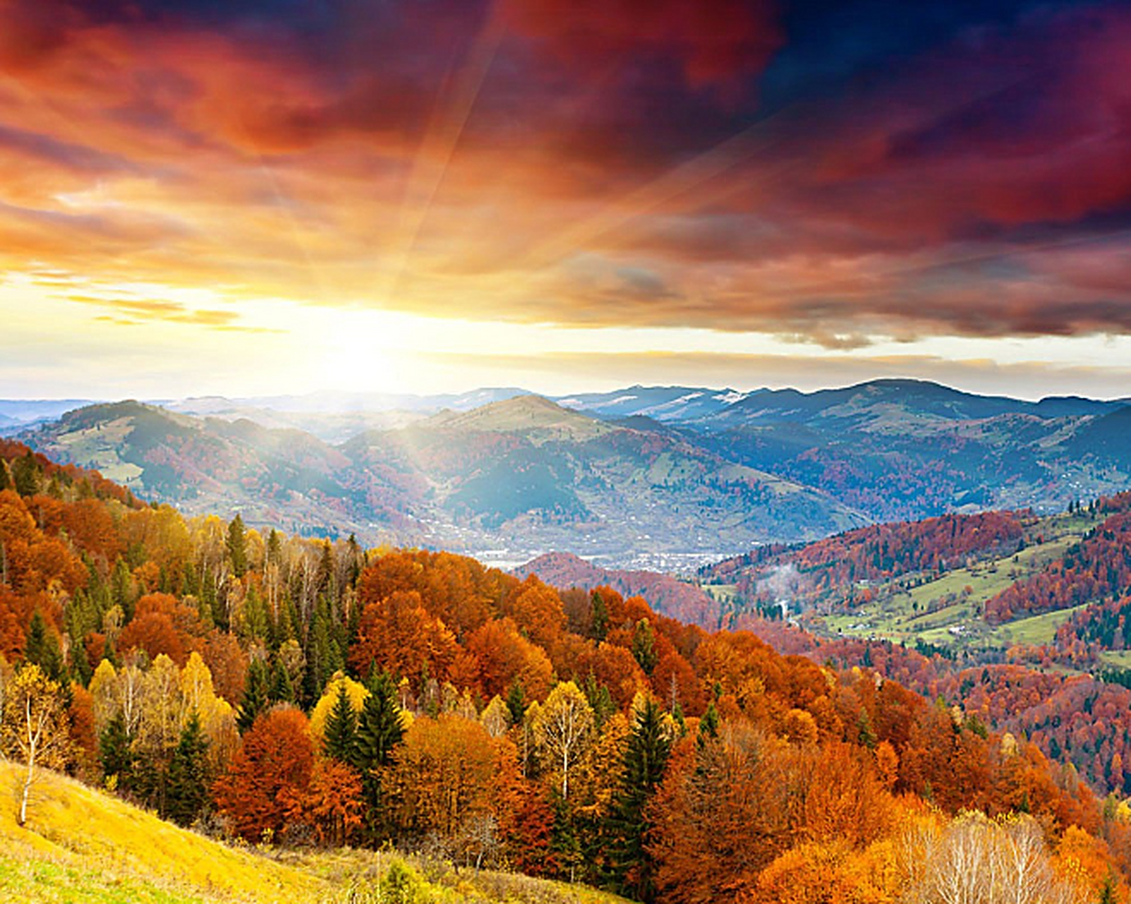 夕阳下的枫林美景,真的很美好.一起欣赏吧,让身心彻底的放松一下.