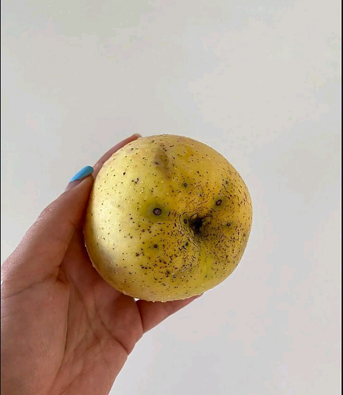 苹果长雀斑了怎么办