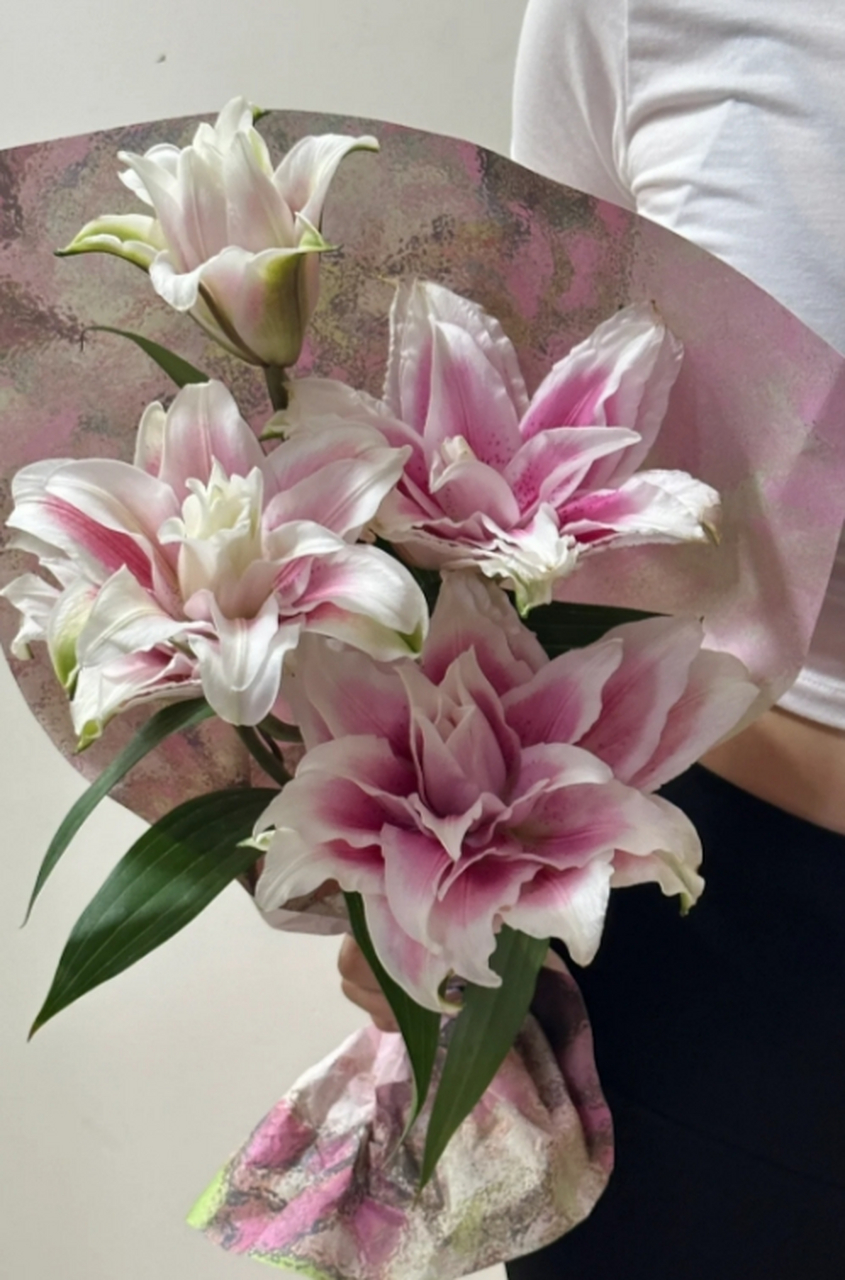 伊莎贝拉重瓣百合的花朵非常饱满,花瓣层叠繁复,每一片都散发着独特