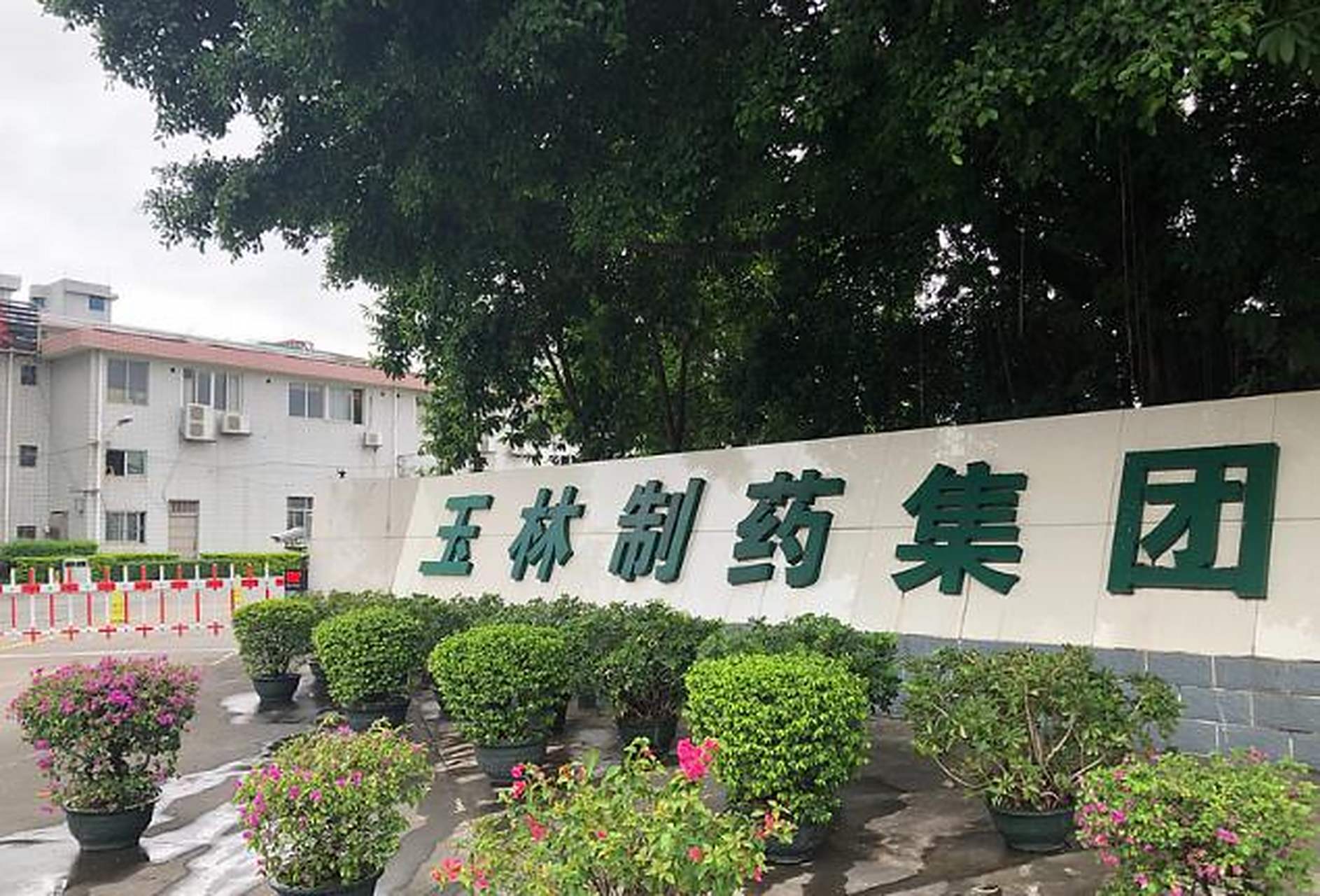 2015年玉林制药出让股权时,当时同为广西制药企业的中恒集团,一度差点