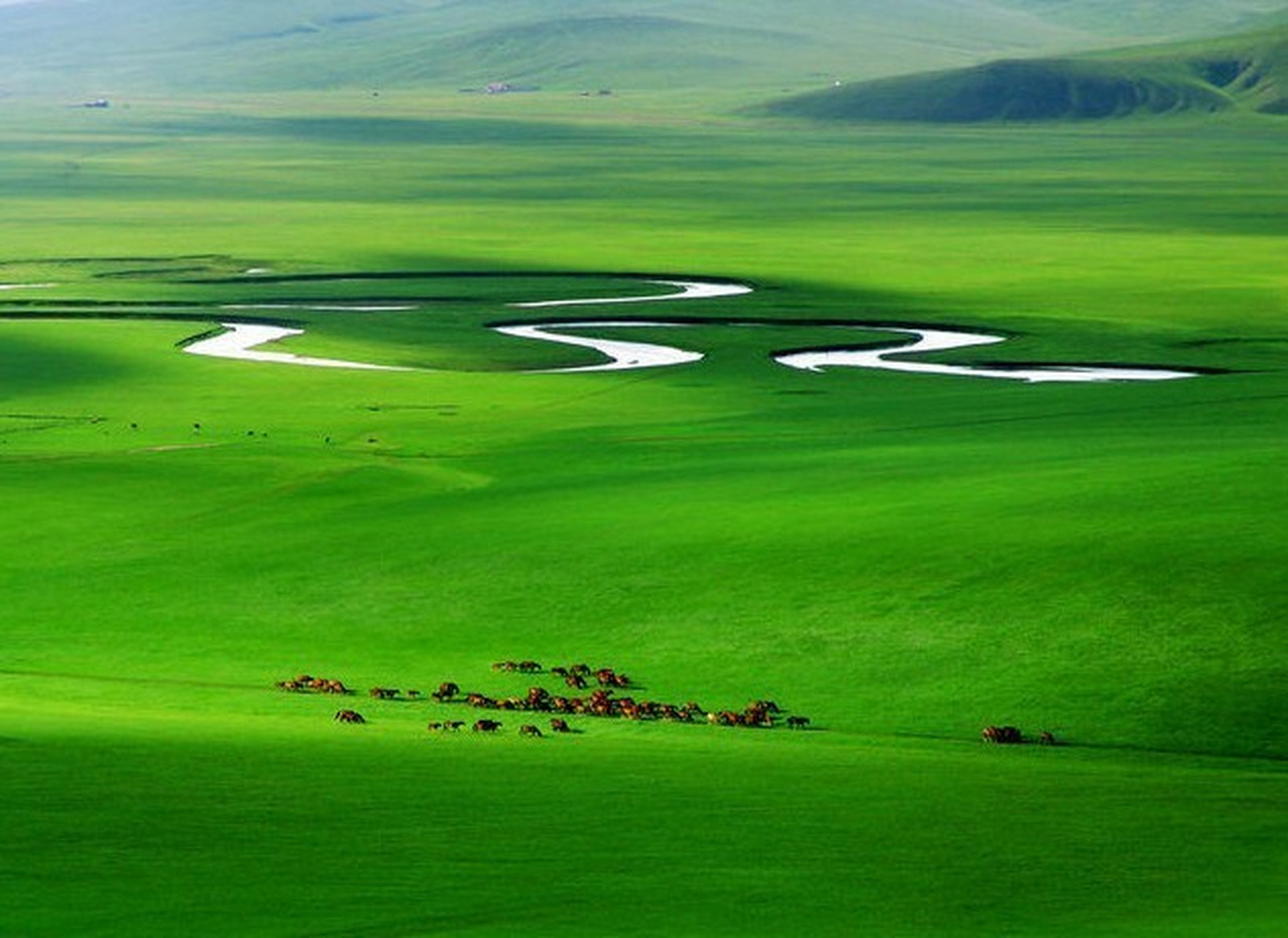 呼伦贝尔大草原是我国现存最丰美的草原牧场,拥有最纯洁的蓝天,白云和