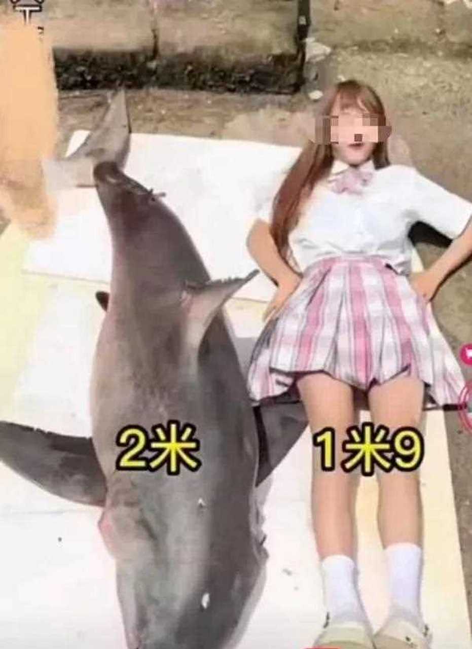 美食网红"提子"食用大白鲨,或将面临5年以上的牢狱之灾!