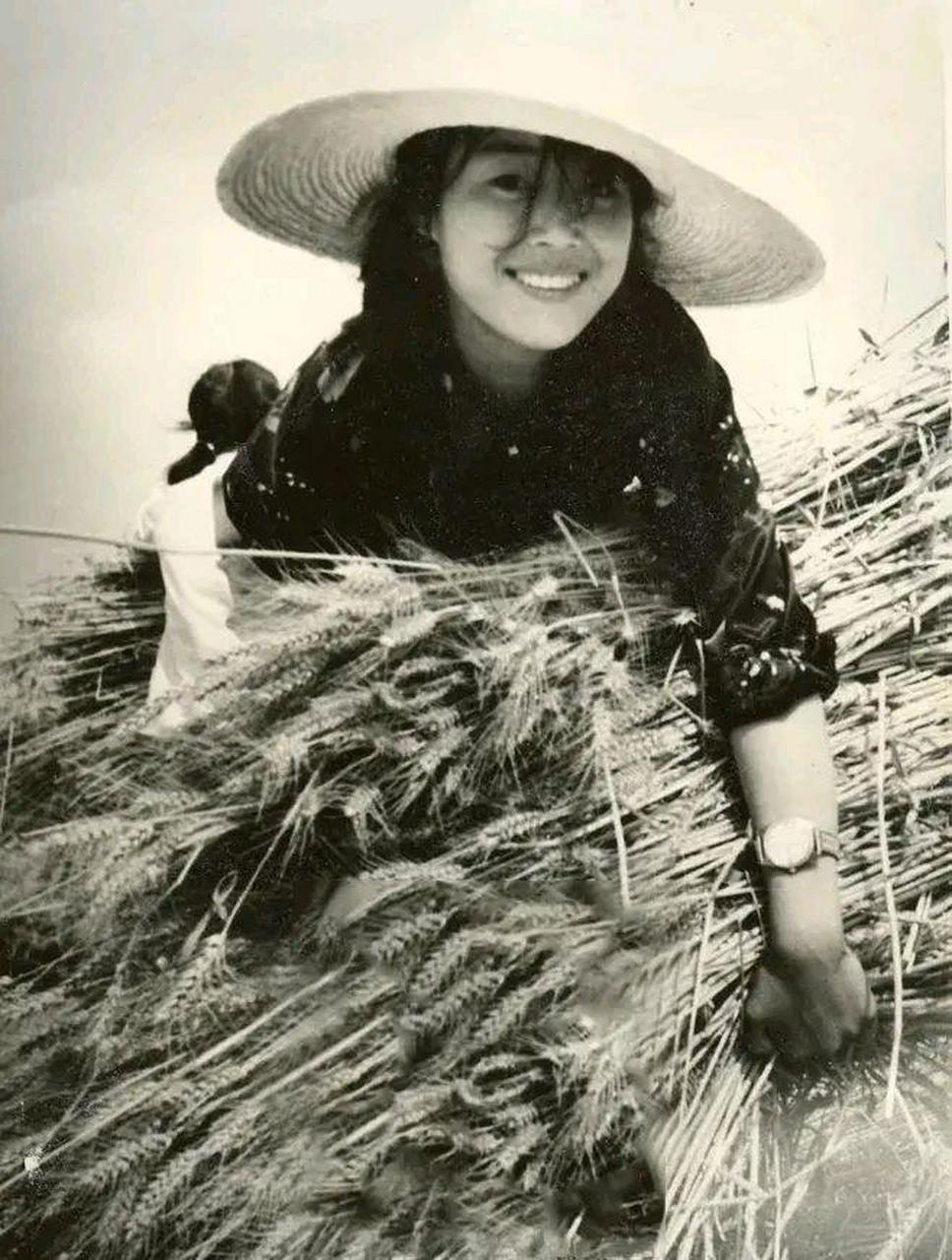 老照片 80年代,一位正在收割麦子的农村妇女,头上戴着草帽,左手腕