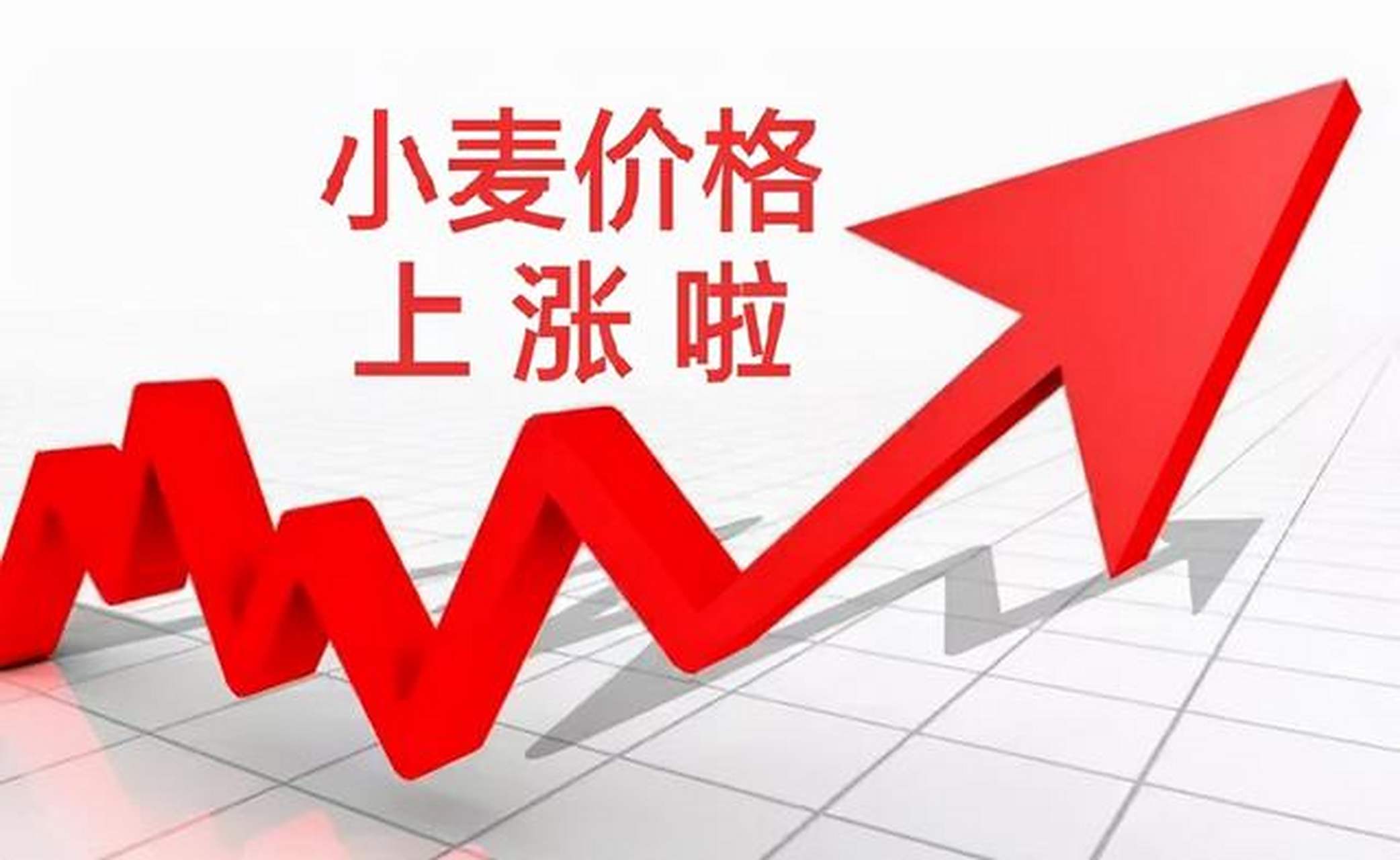 小麦价格"疯狂"上涨,危险已经接近,2023年4月12日小麦行情  近期,小麦