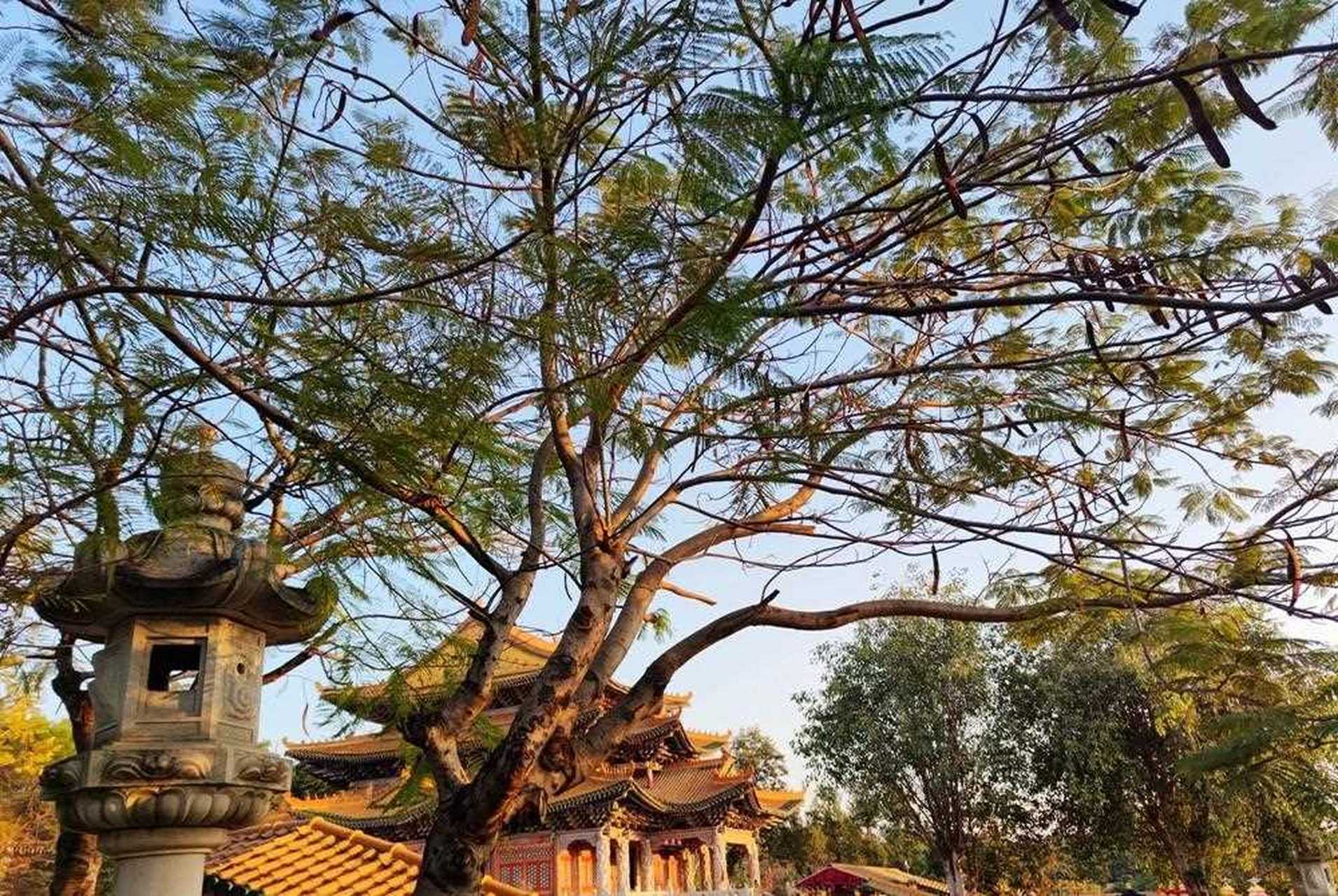 梅山寺整個寺廟區錯落得體,綠樹掩蔽,風景秀麗,庭院設計和路兩邊的石